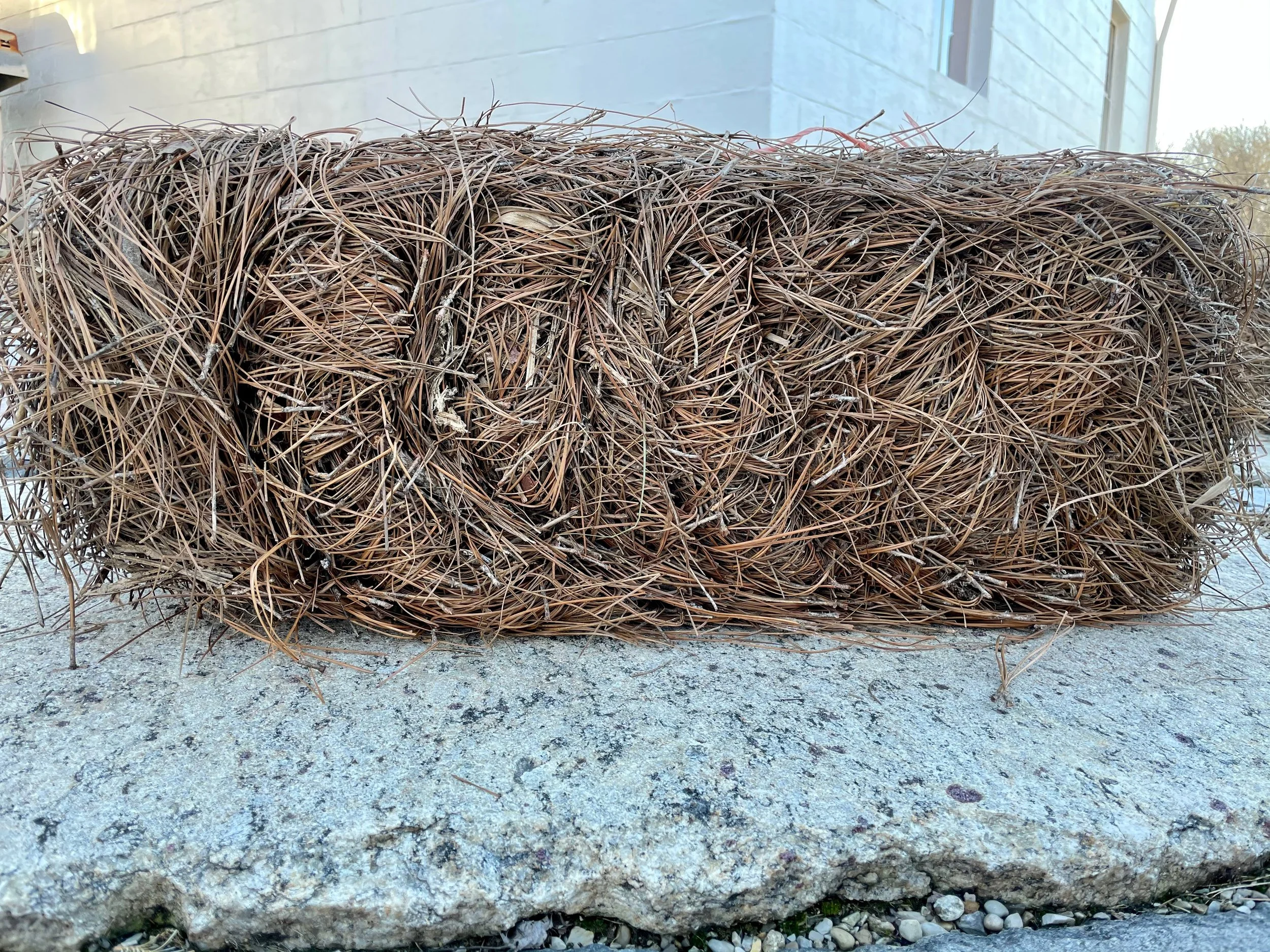 Longleaf Pine Straw Bale — (Cincinnati Pine Mulch LLC)