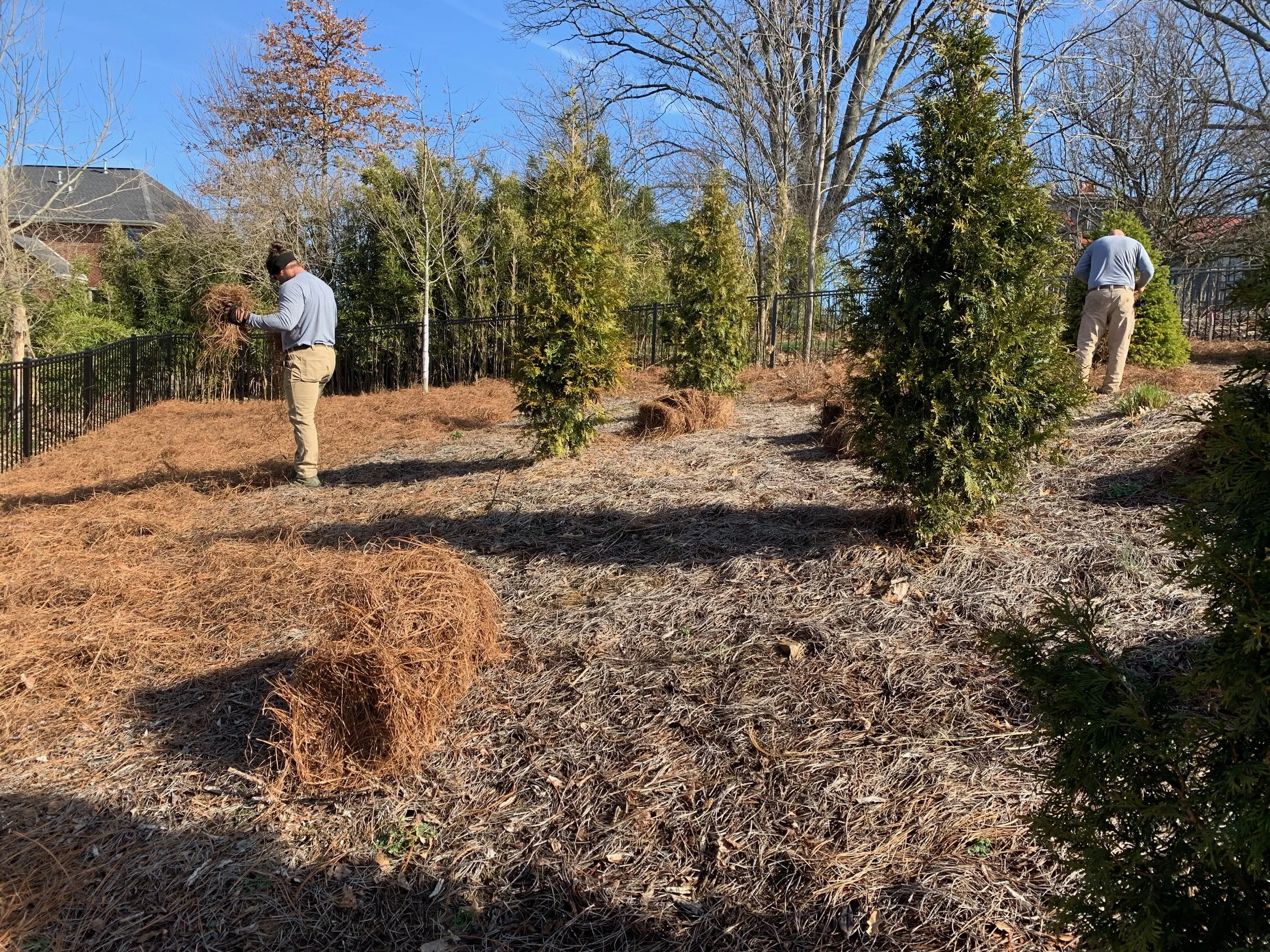 Order Pine Straw — (Cincinnati Pine Mulch LLC)