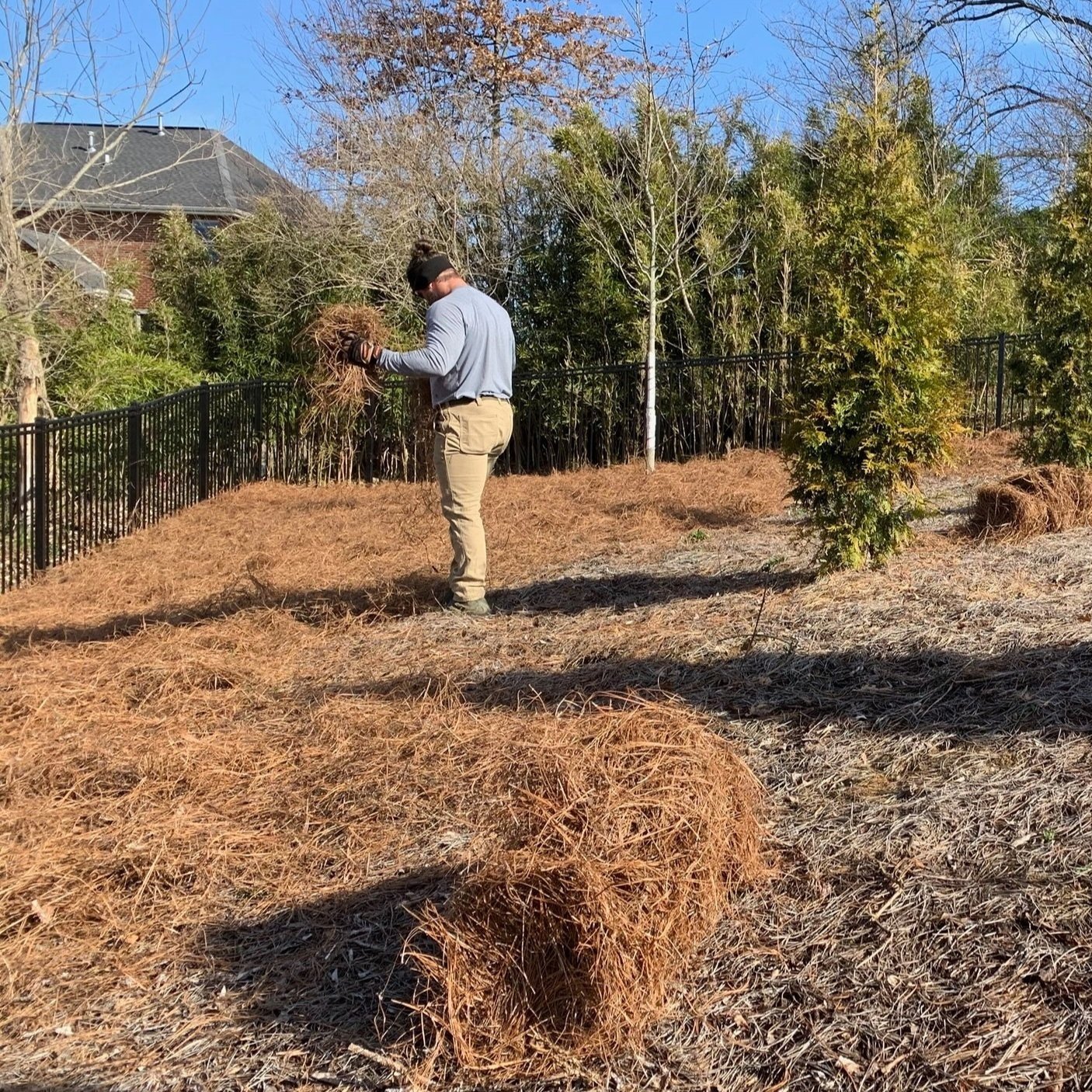 Pine straw bales near me