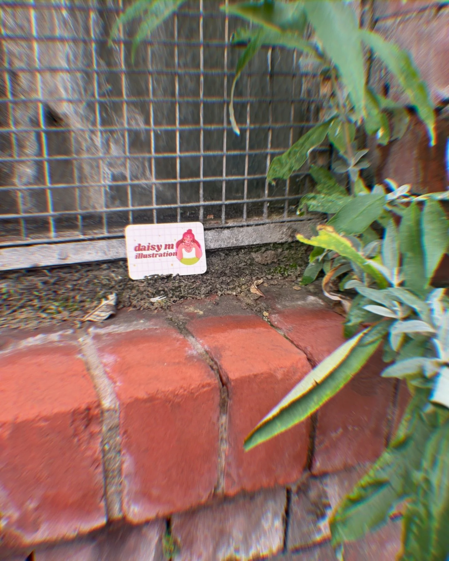 I spy&hellip; with my little Manchester visiting eye&hellip; DAISY M in the wild.

I&rsquo;ve been taking a lot of time for myself this month, there has been a lot to sort, work through and put in place. 

Love you all 💛