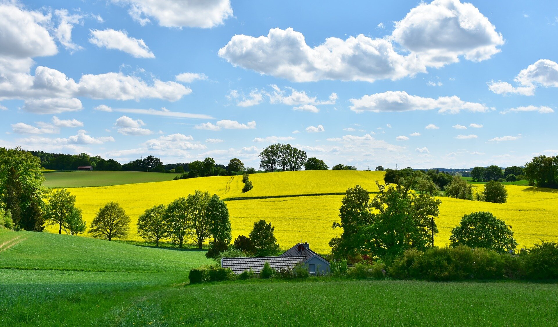 landscape-3369304_1920.jpg