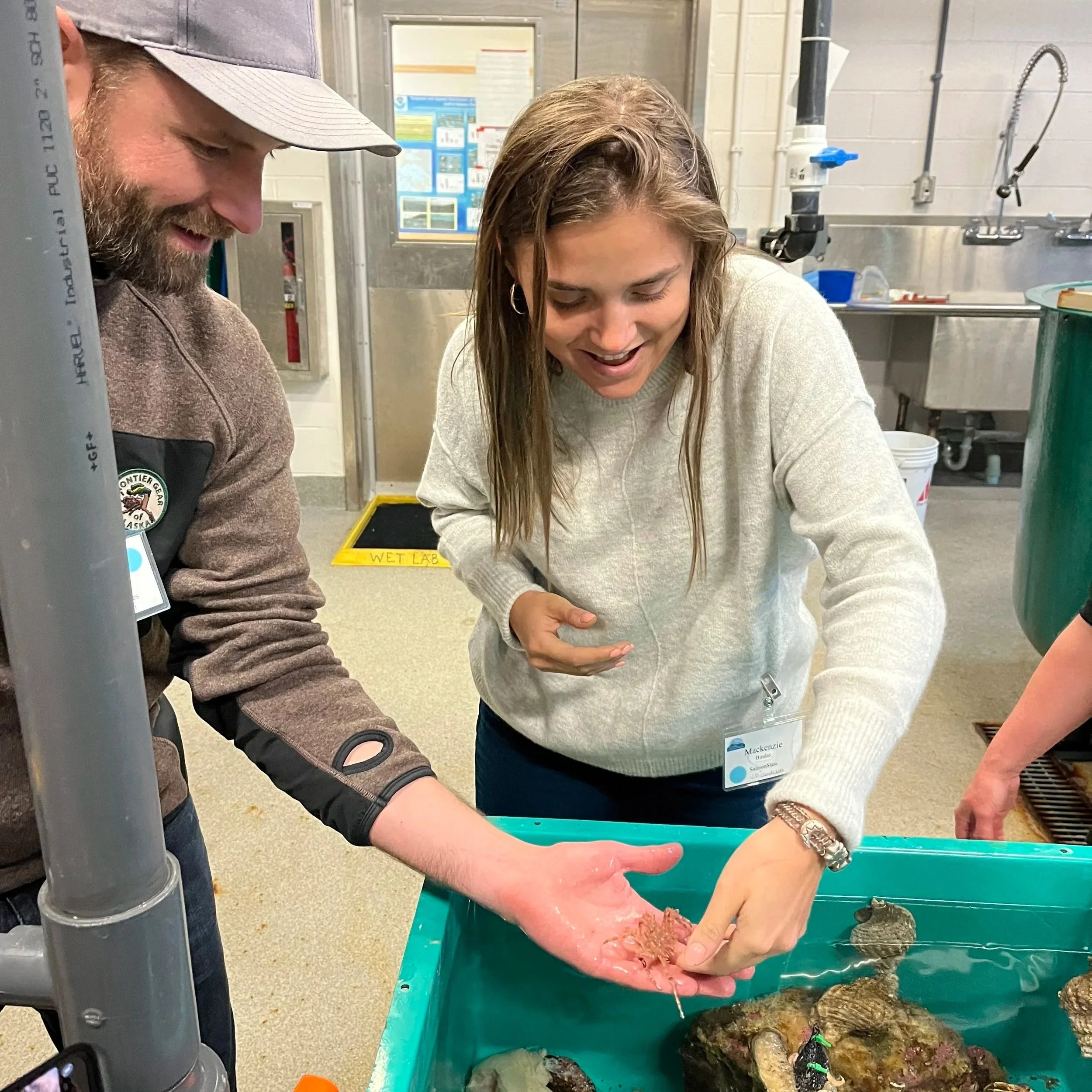 Two people examine a sea creature at an aquarium or marine lab, with water and rocks in a turquoise tank in front of them.