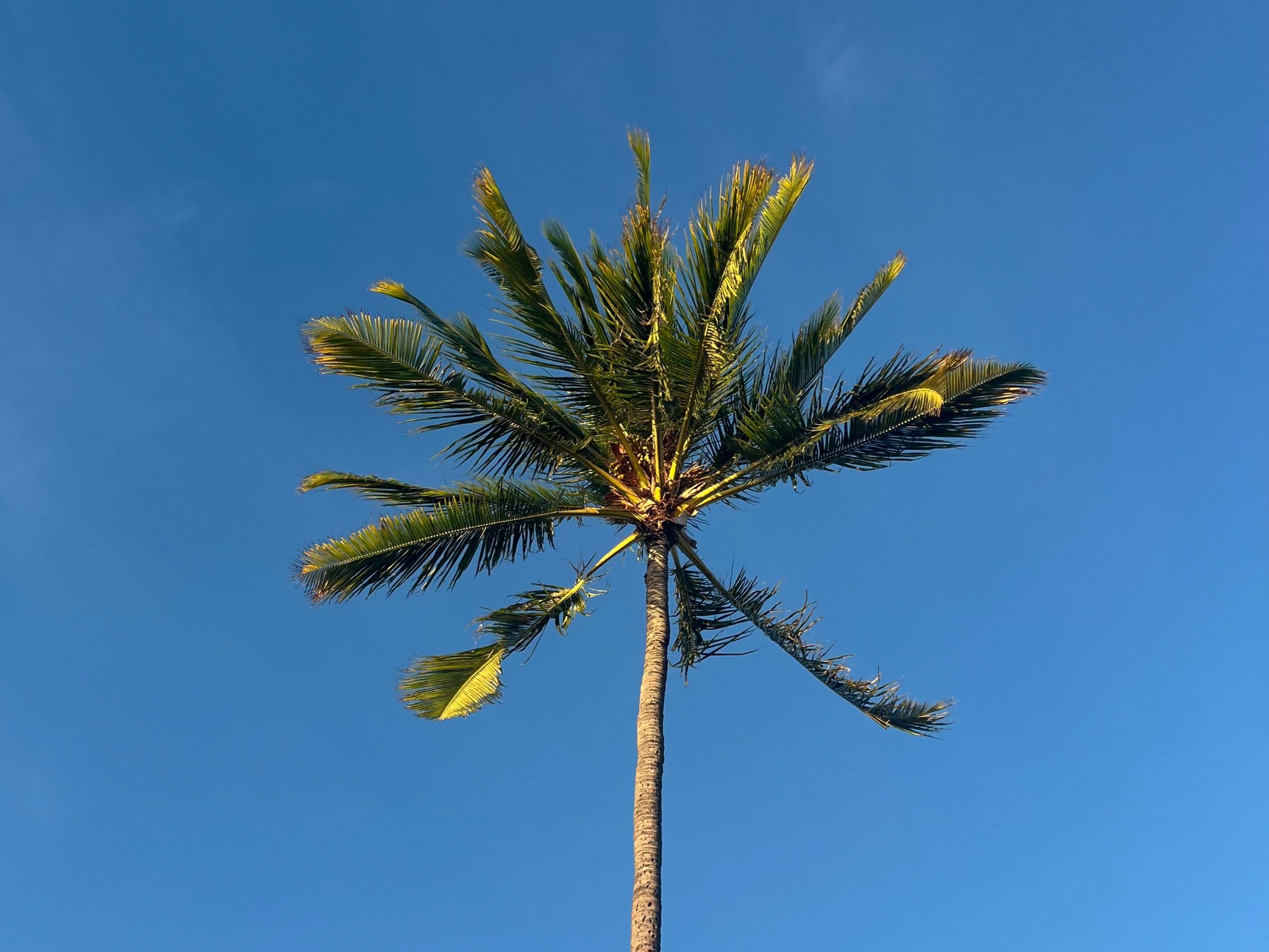 Science and Management | Aguadilla, Puerto Rico | 2025