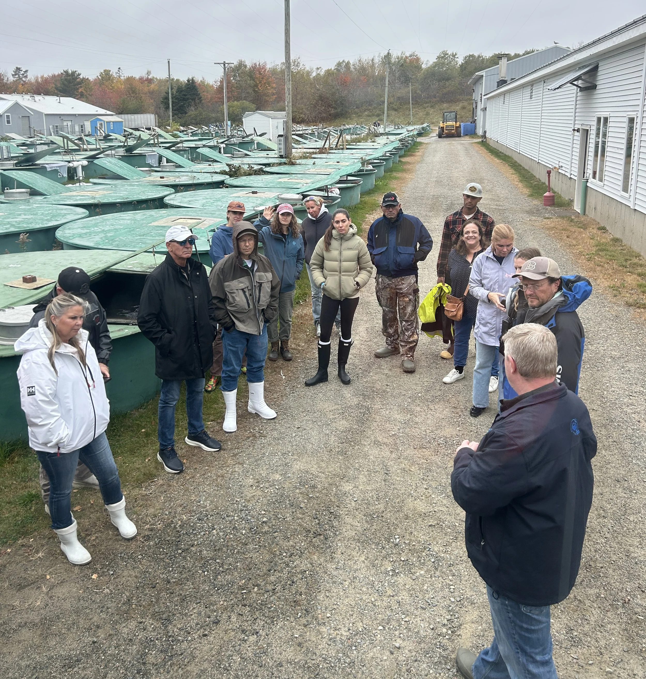 Workshop Photos