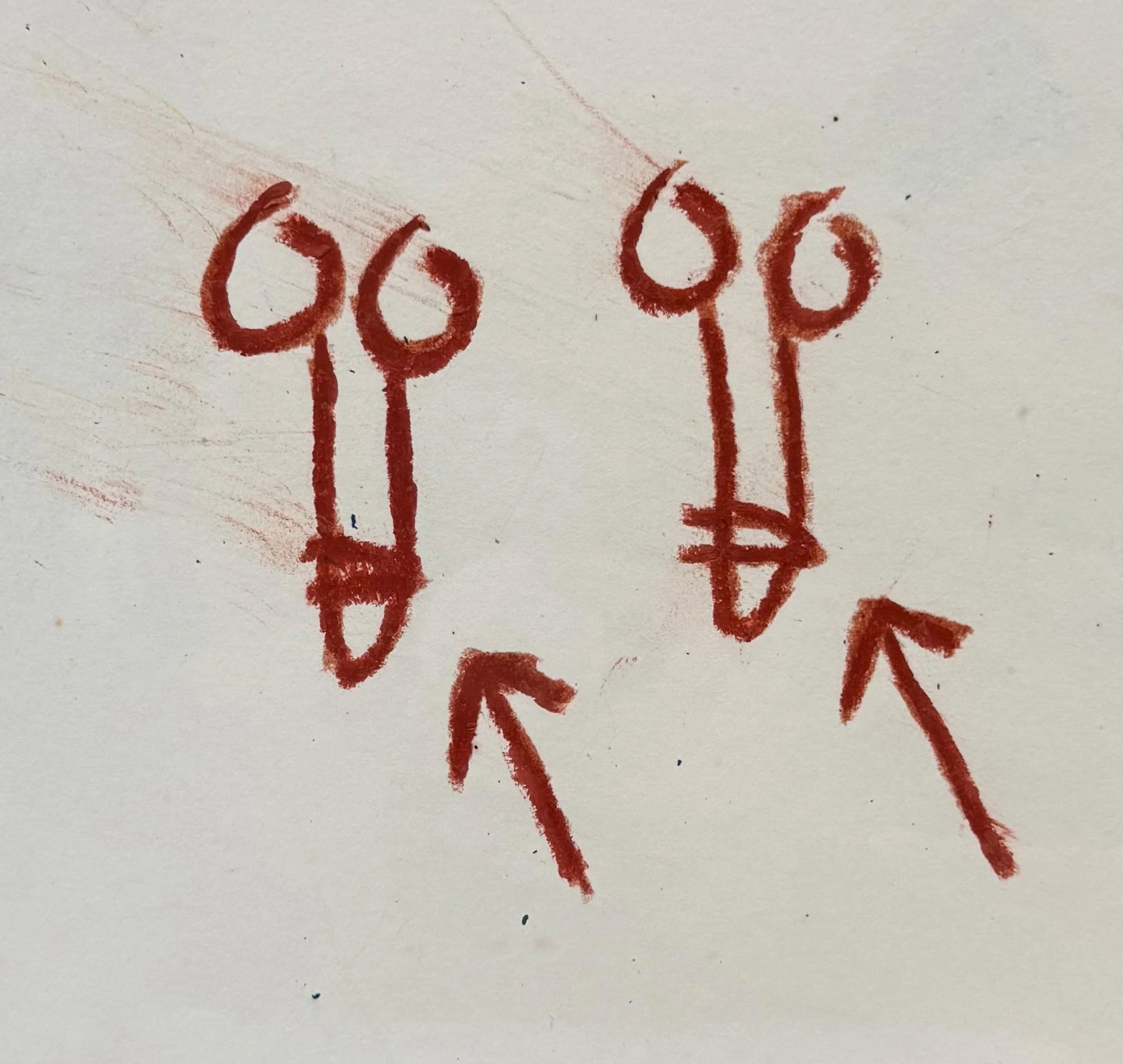 A detail image of ‘Penis Drawings’ by Jean-Michel Basquiat. The works is comprised of oil stick on paper.