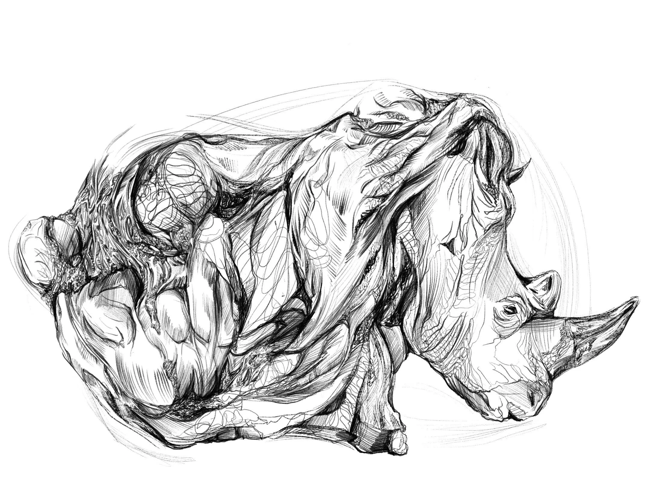 Illustration for Igudesman & Joo: Save the World Book 