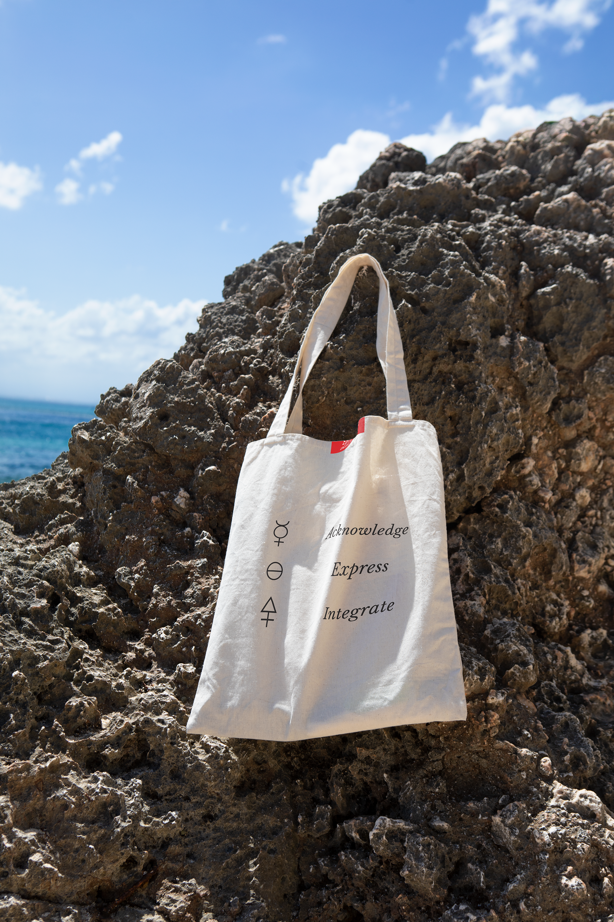 Alchemy Tote.png