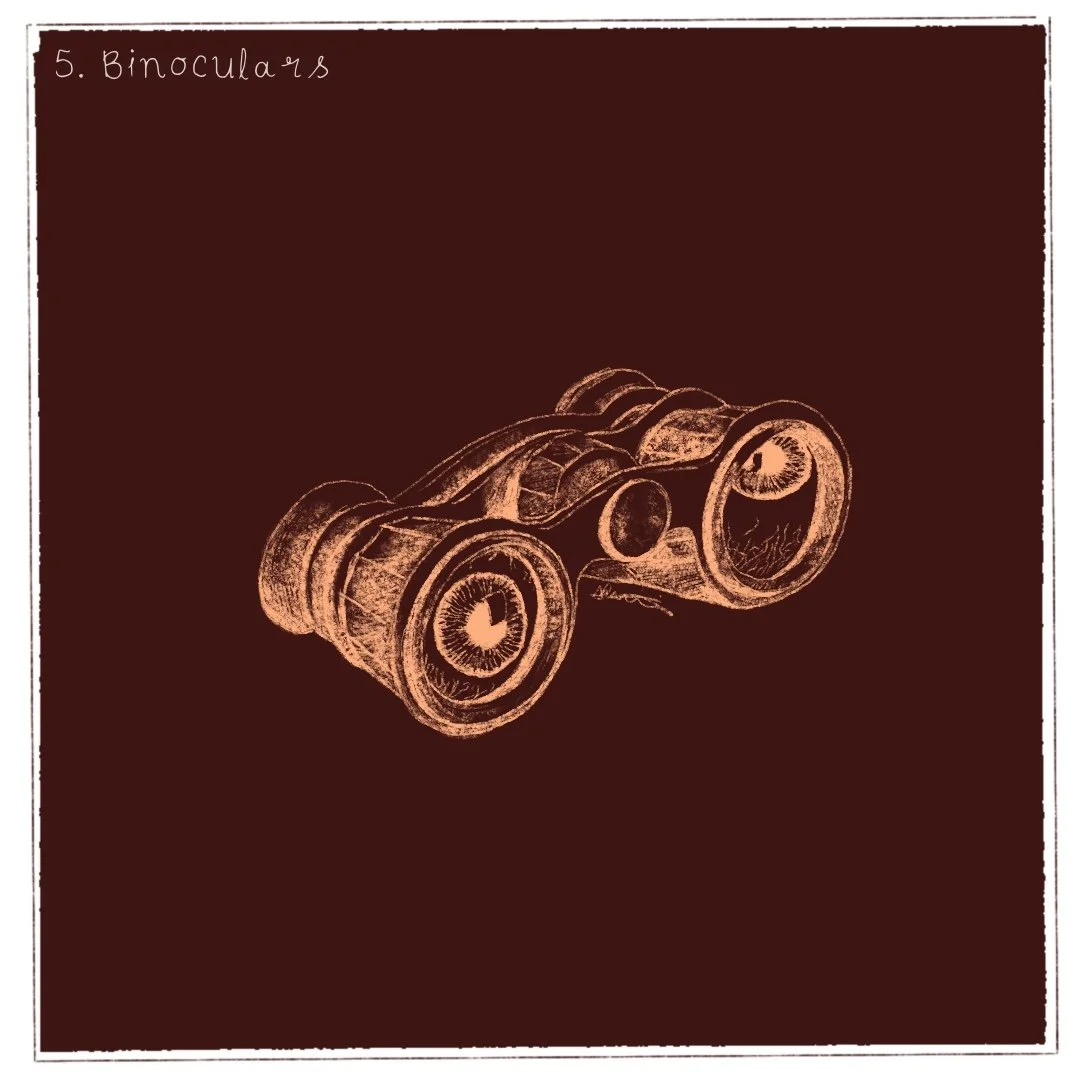 Day 5 - Binoculars