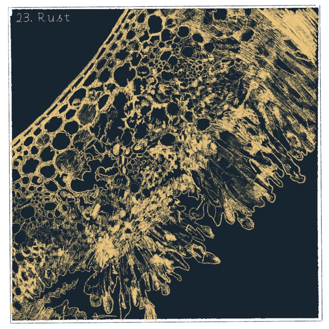 Day 23 - Rust