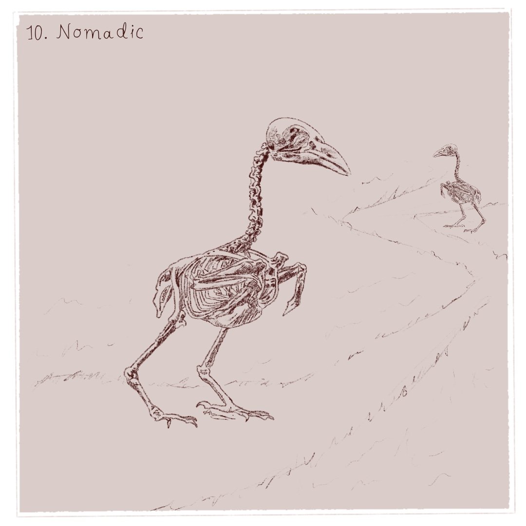 Day 10 - Nomadic