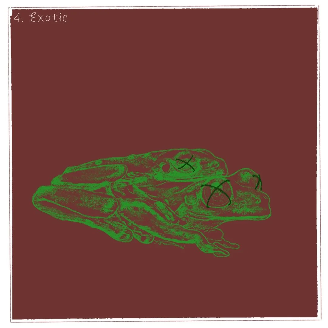 Day 4 - Exotic