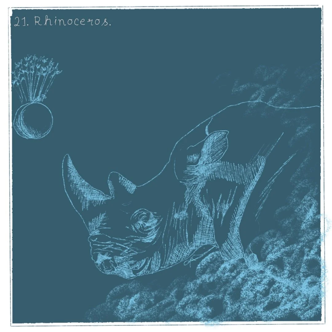 Day 21 - Rhinoceros