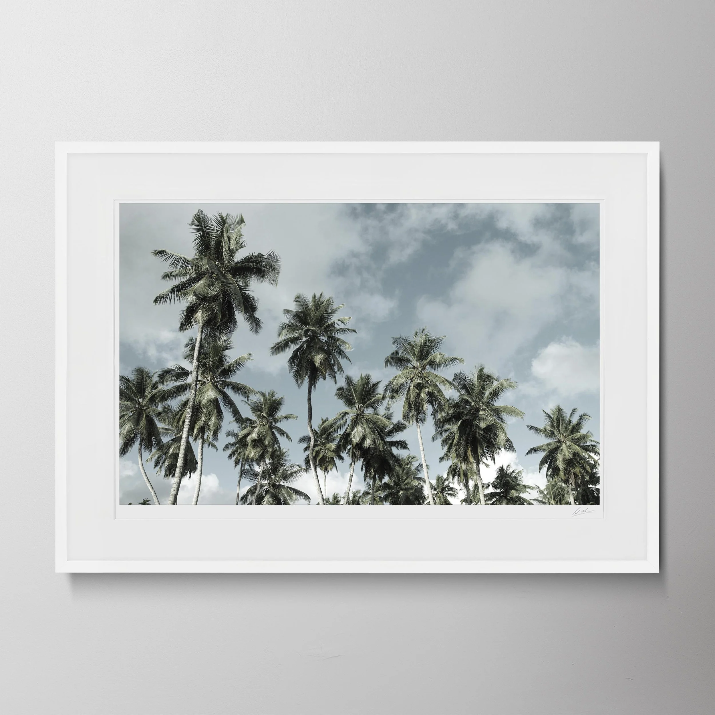 White Landscape-B0010P_0589.jpg