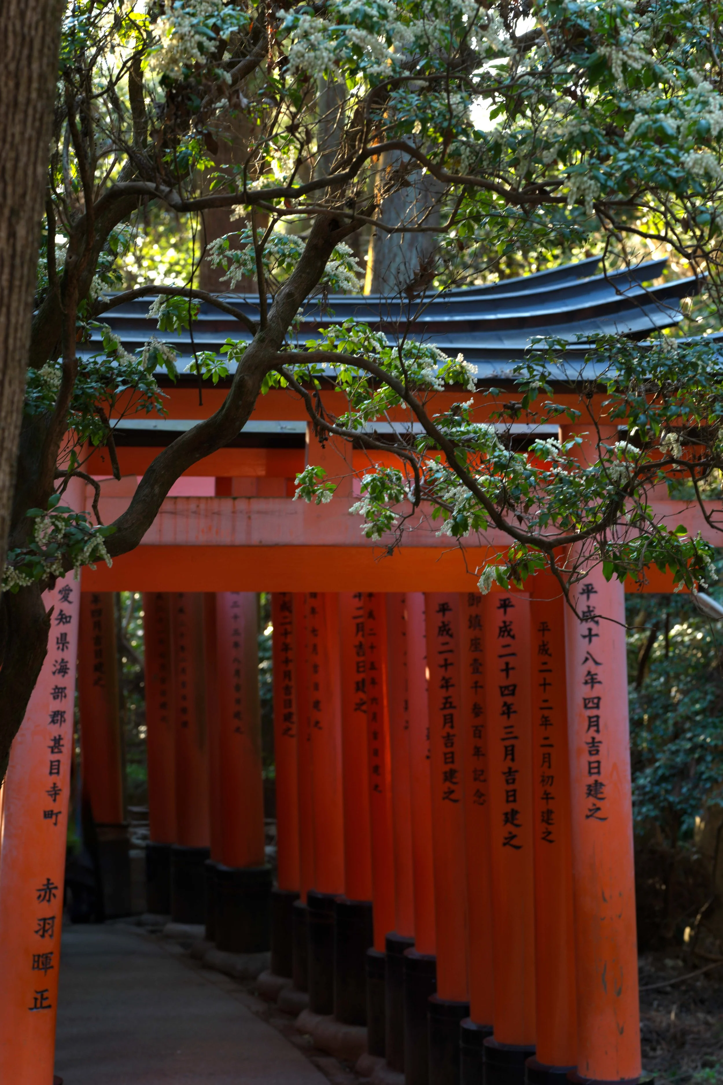 025 Kyoto Fushimi Inari-Taisha _0037 copy 025 025.jpg