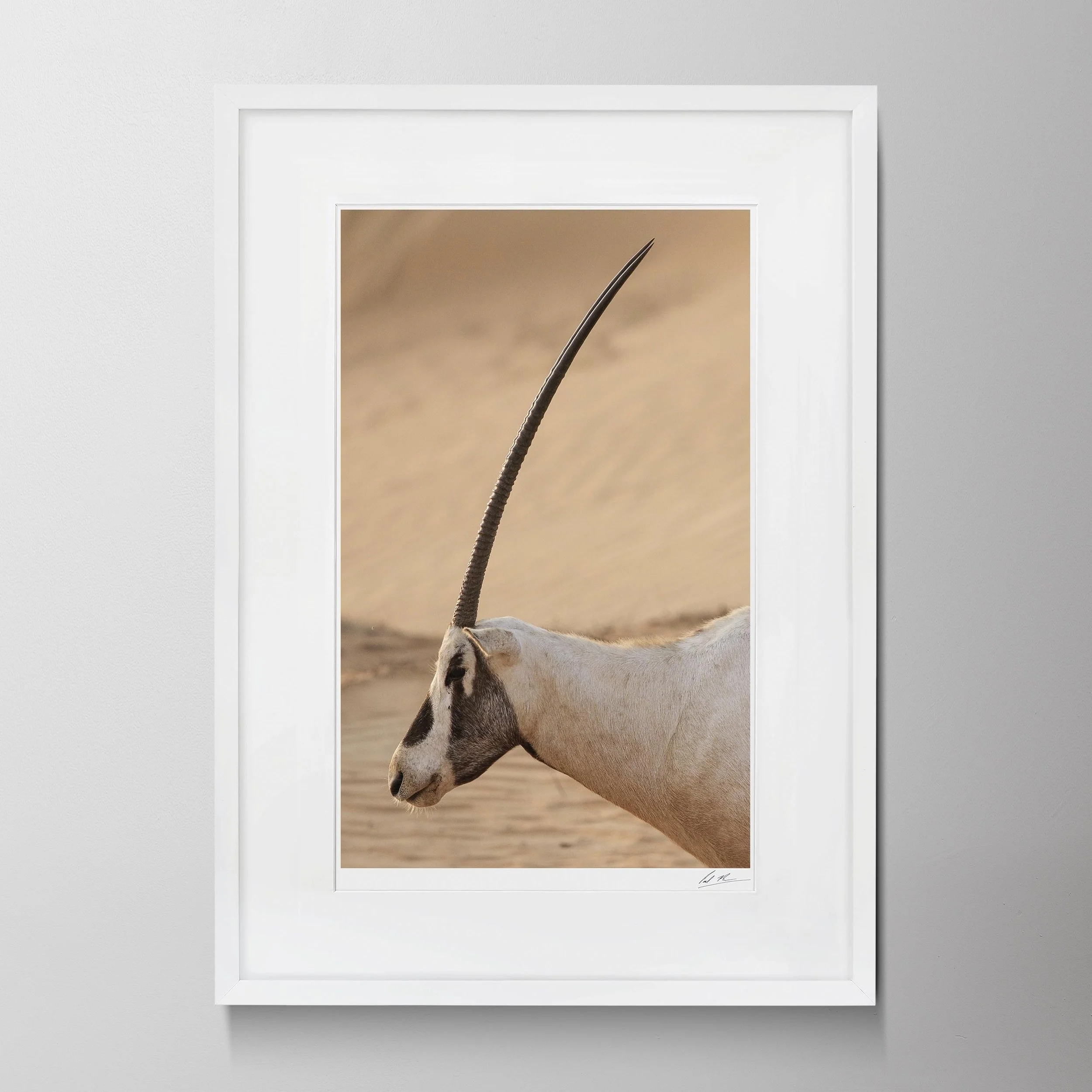 White Portrait-Oryx 0007.jpg