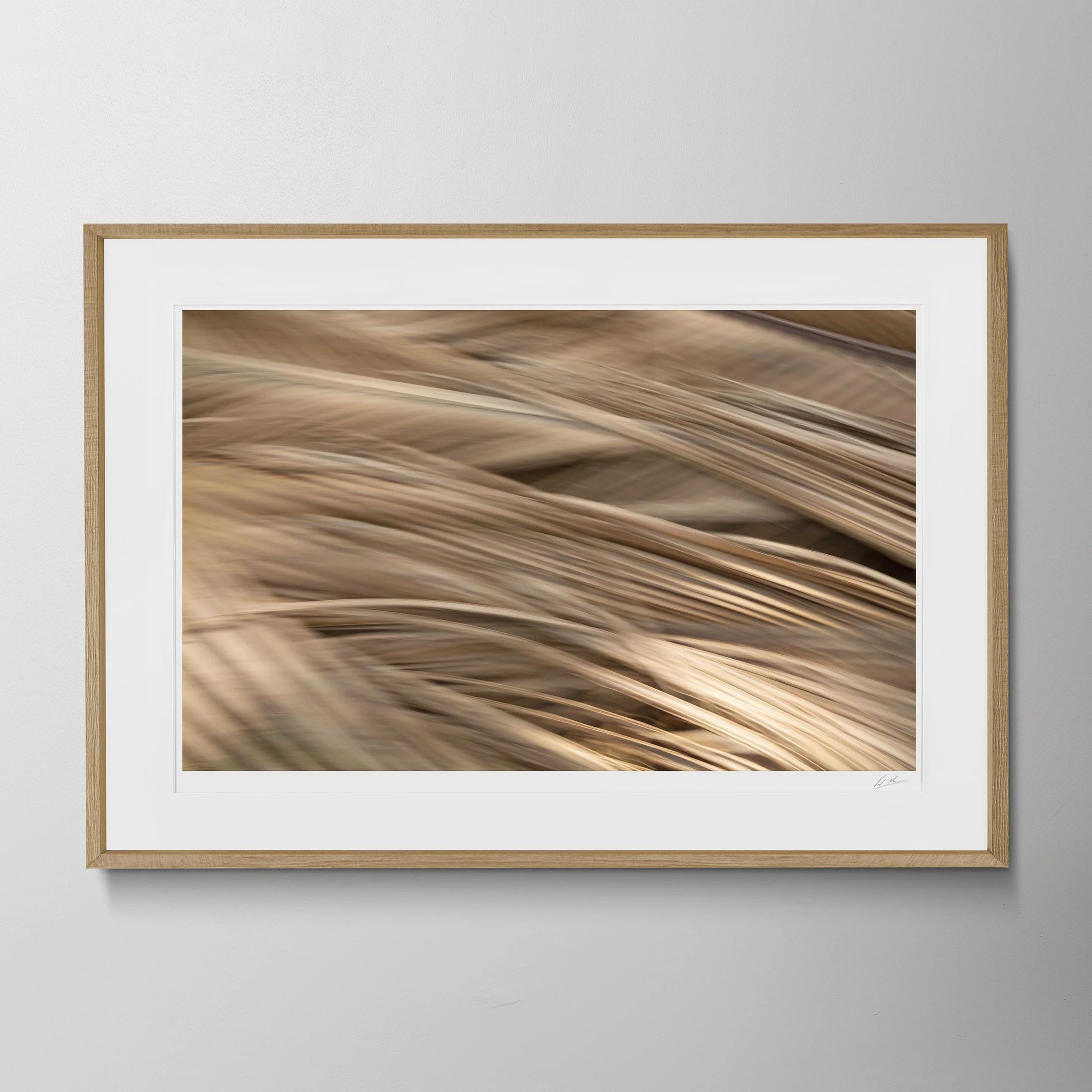 Oak Landscape-Goa Art & Motion Blur 116.jpg