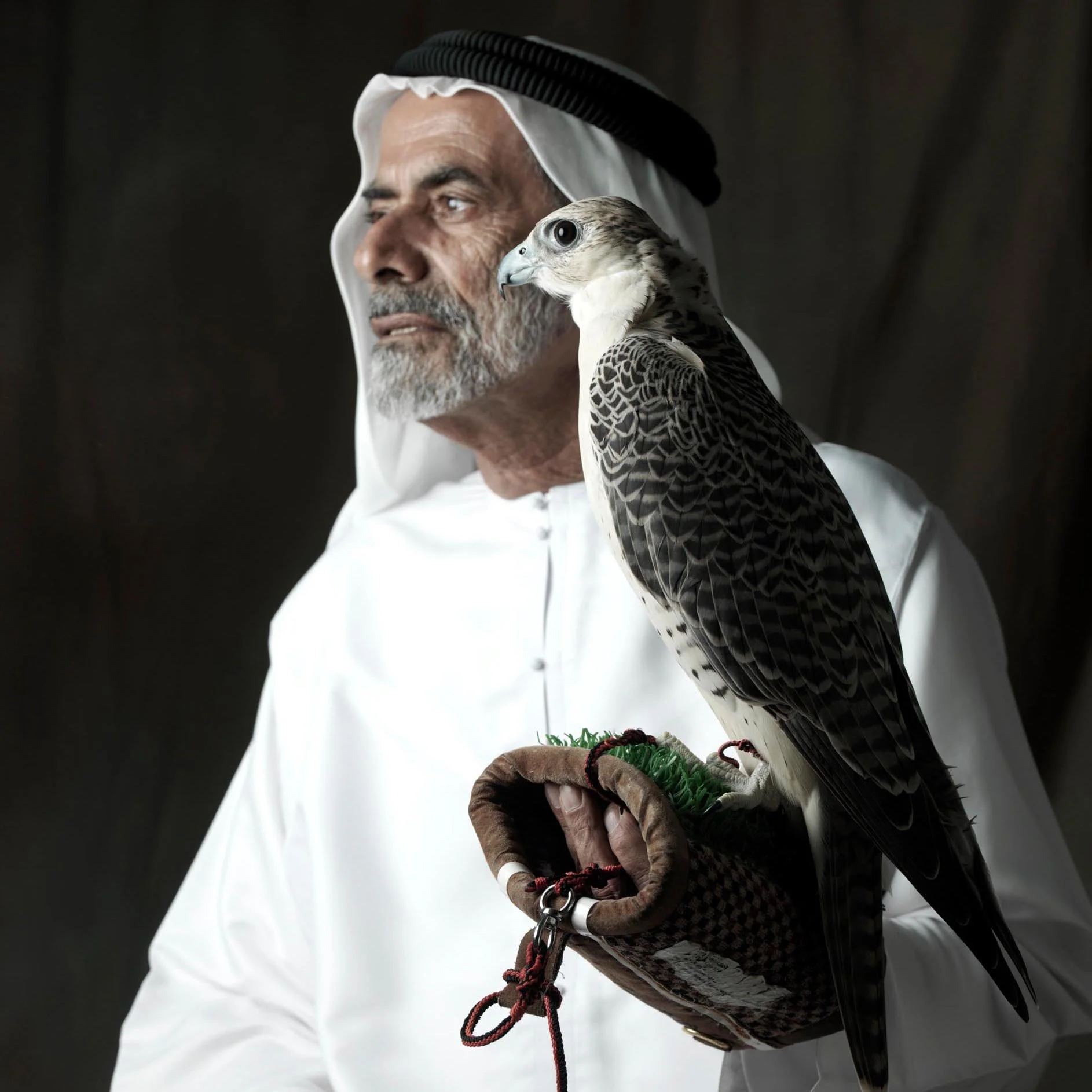 Salim Almagoodi 0073 copy.jpg