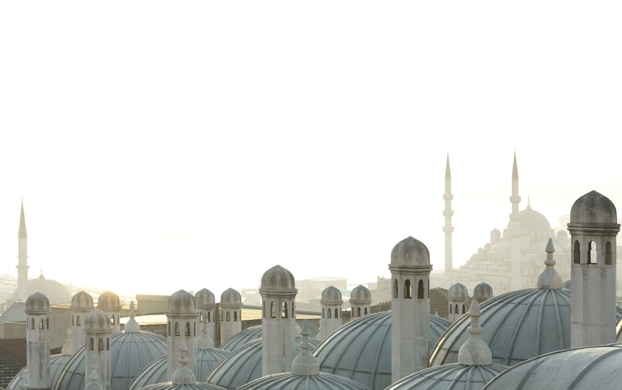 Golden Horn_0017.jpg