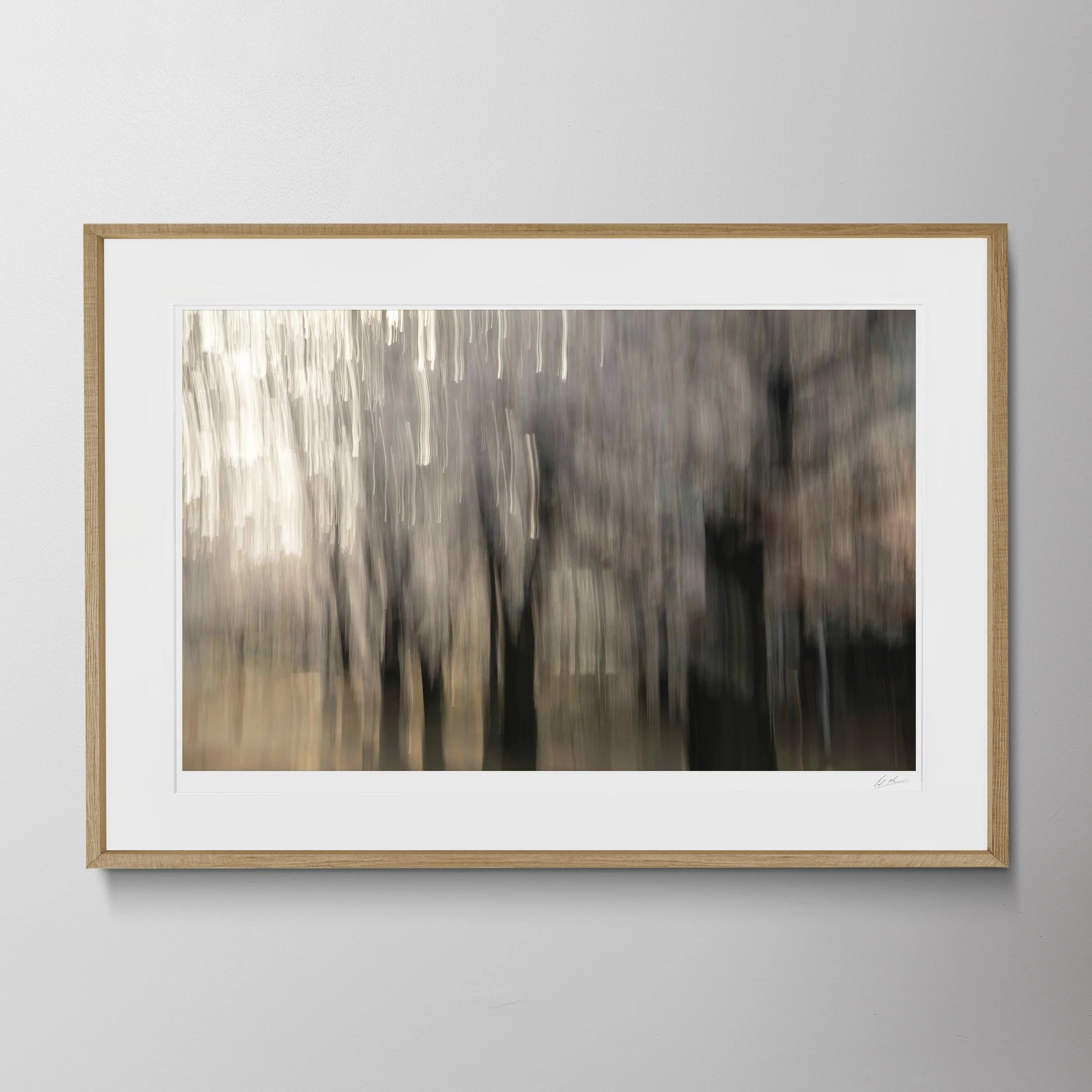 Oak Landscape-Kyoto Blossom Kinesis (Shimbashi Gion) 15.jpg