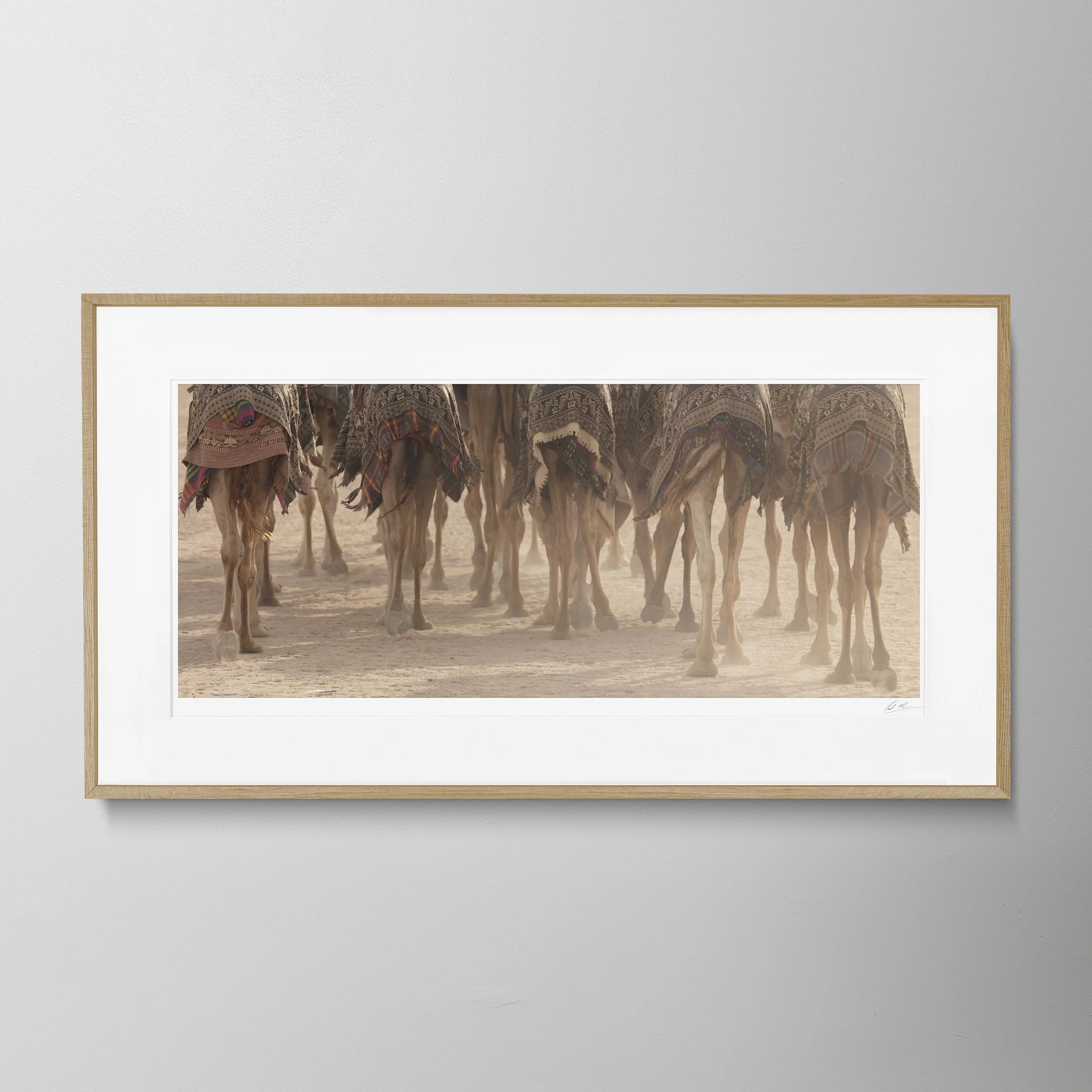 Oak Panorama - A 0134 copy.jpg