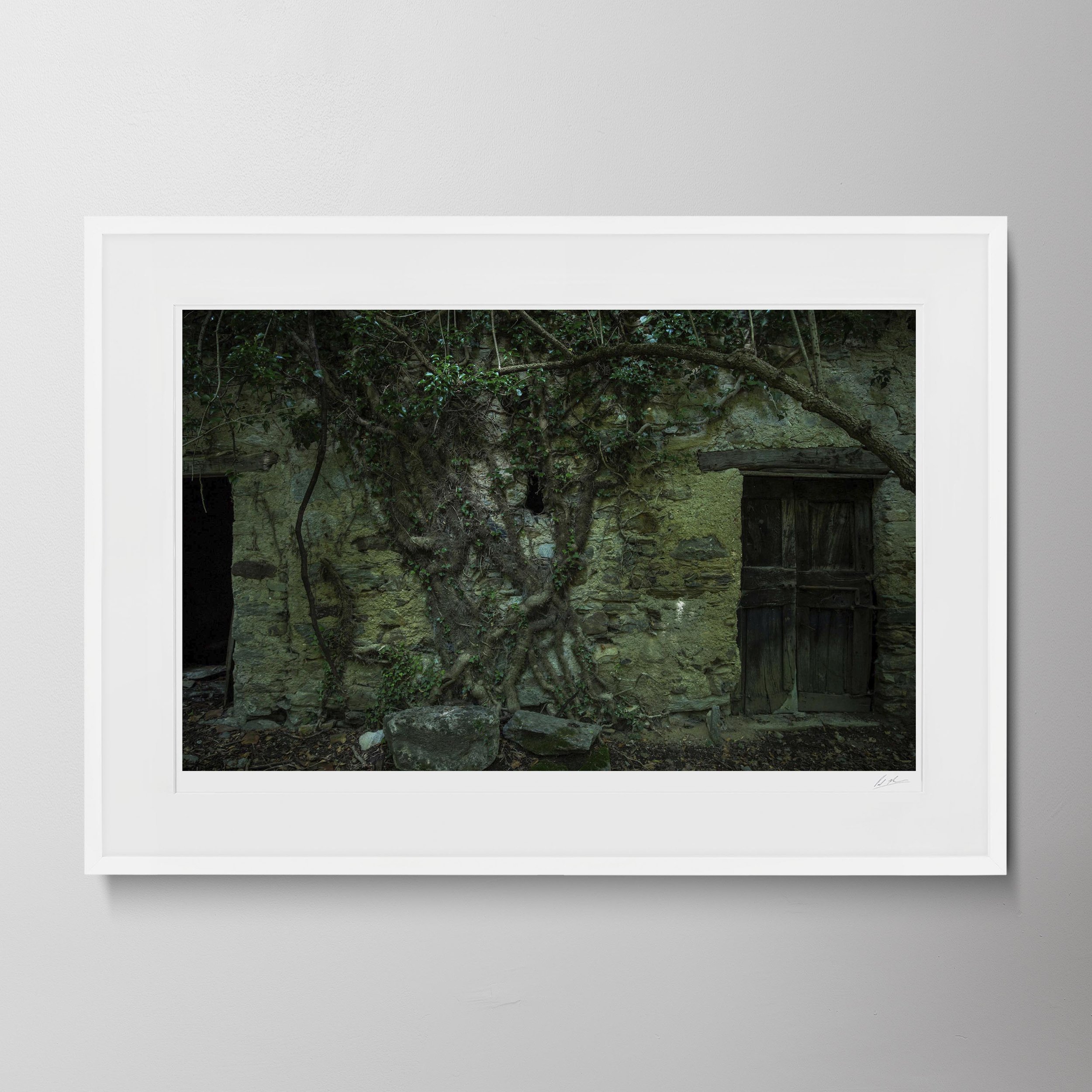 White Landscape-Art Details Lake Como 116 2.jpg