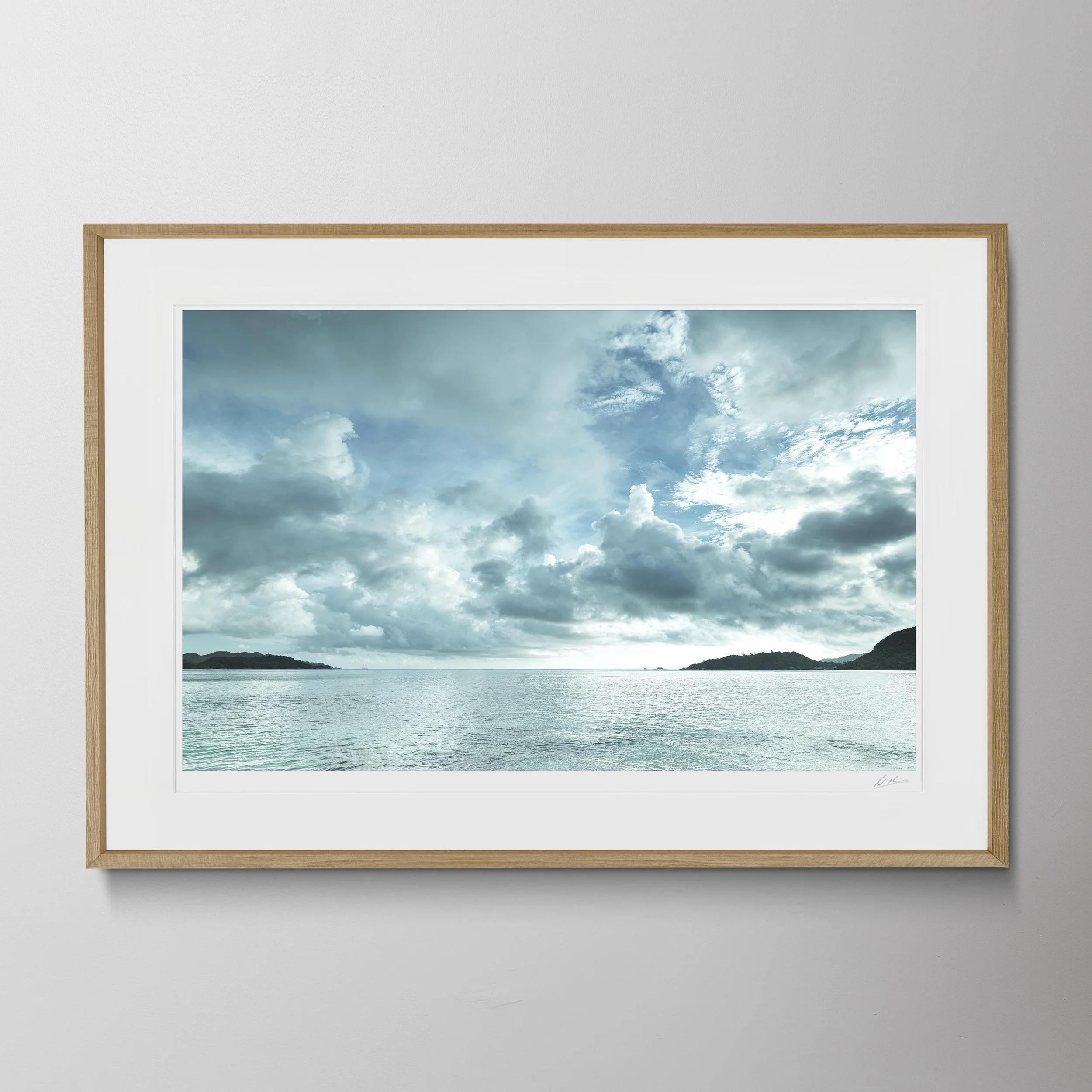 Oak Landscape-Takamaka Beach Praslin A_0005.jpg