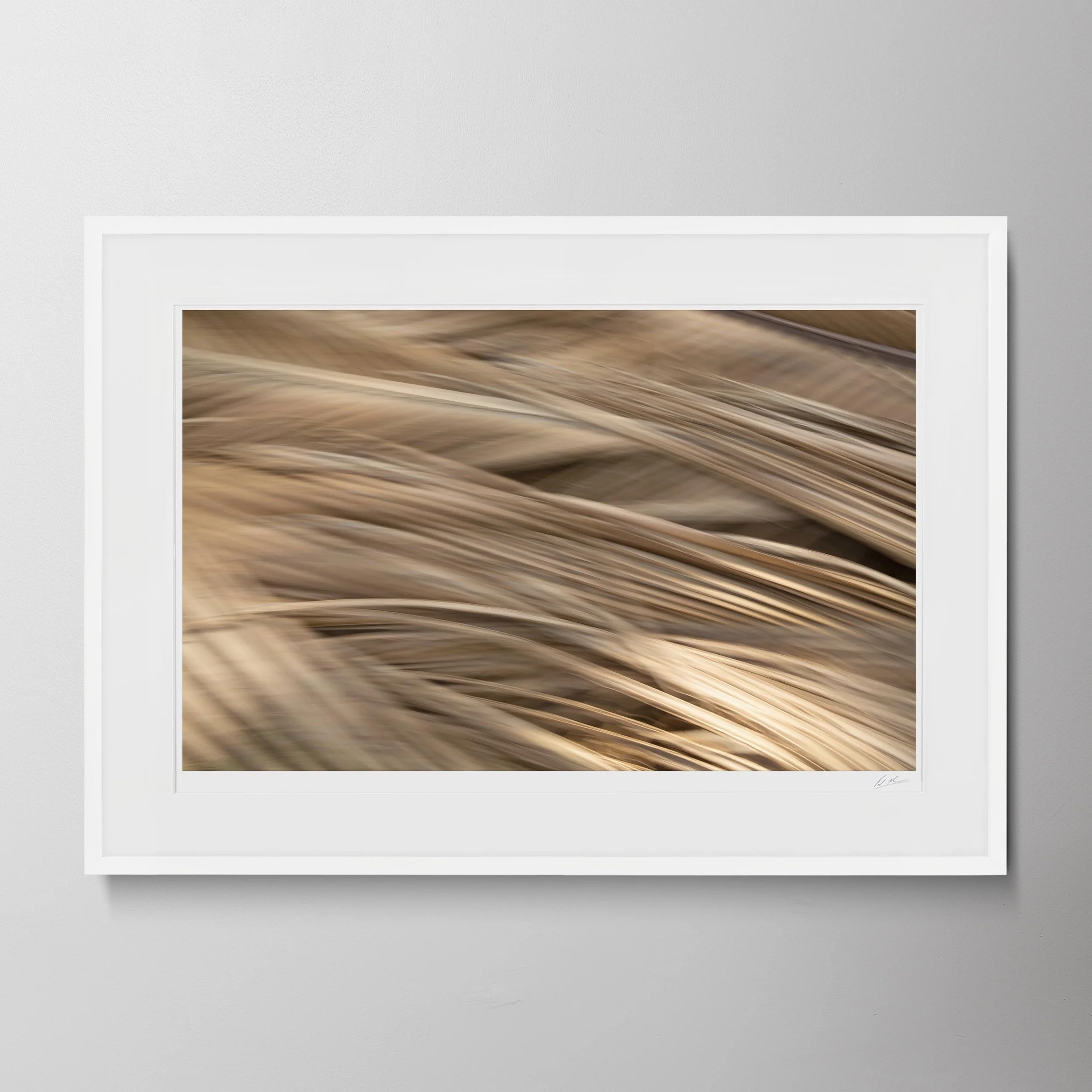 White Landscape-Goa Art & Motion Blur 116.jpg