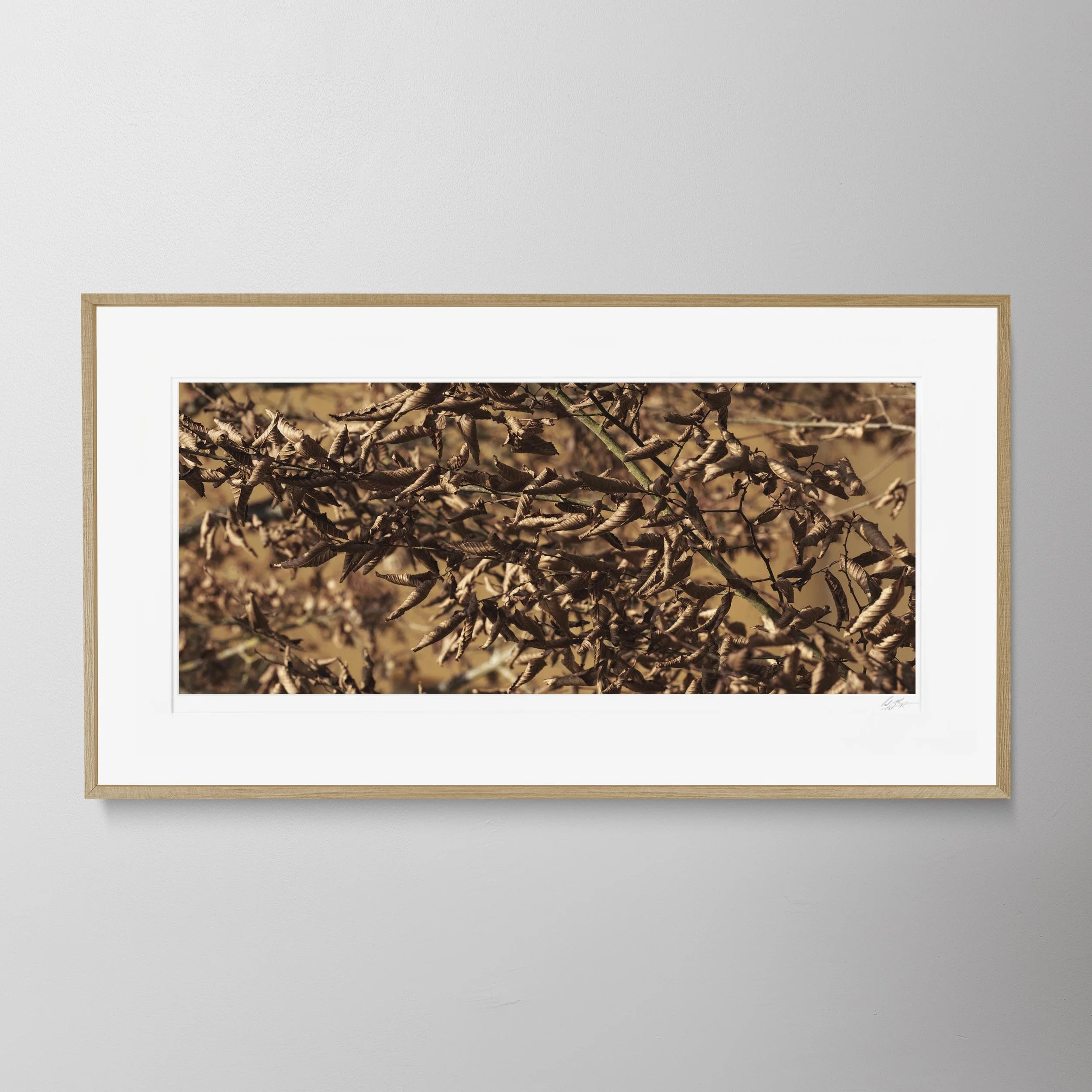 Oak Panorama-Kallmünz_0076.jpg