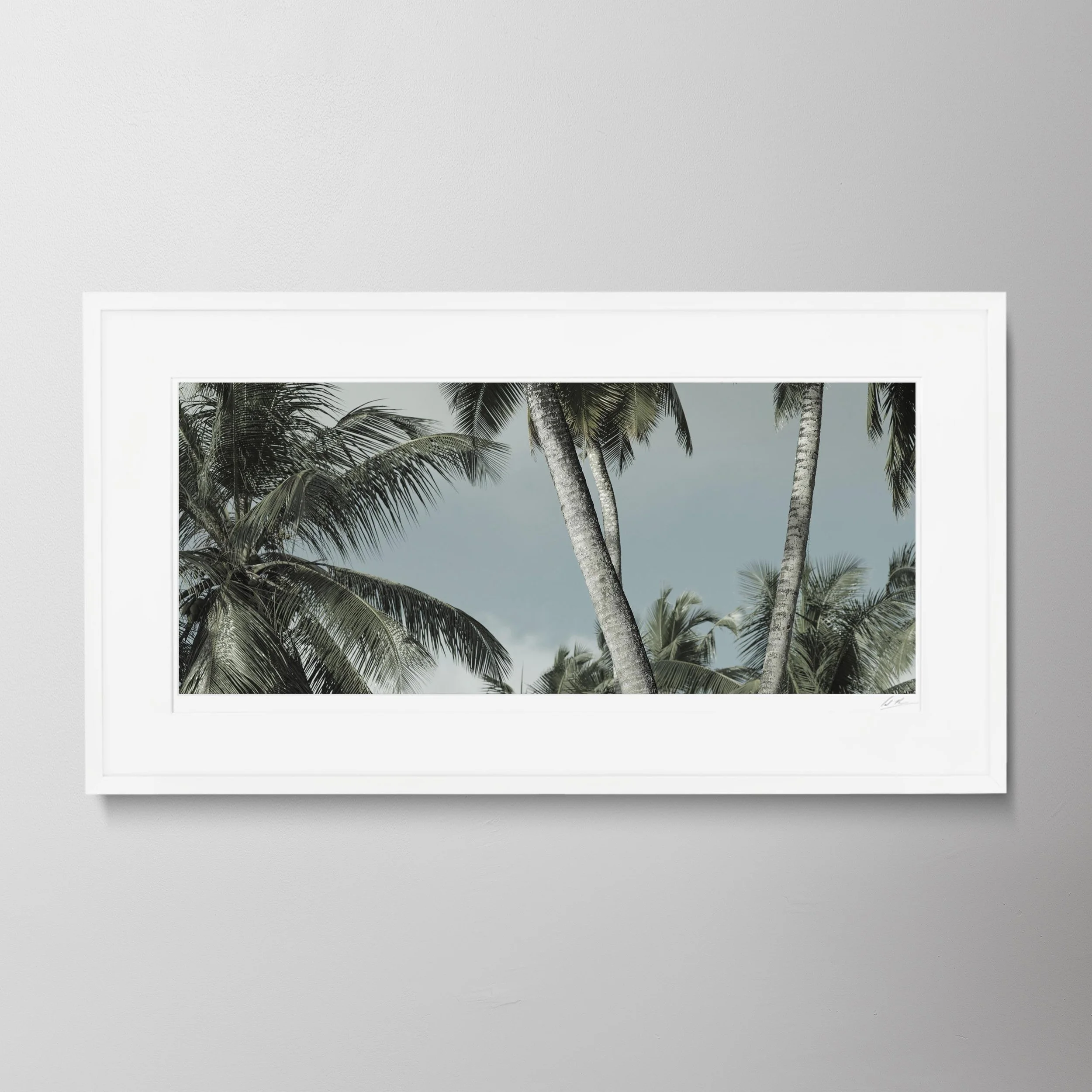 White Panorama-Palm Trees, Baie Lazare Seychelles_0020.jpg