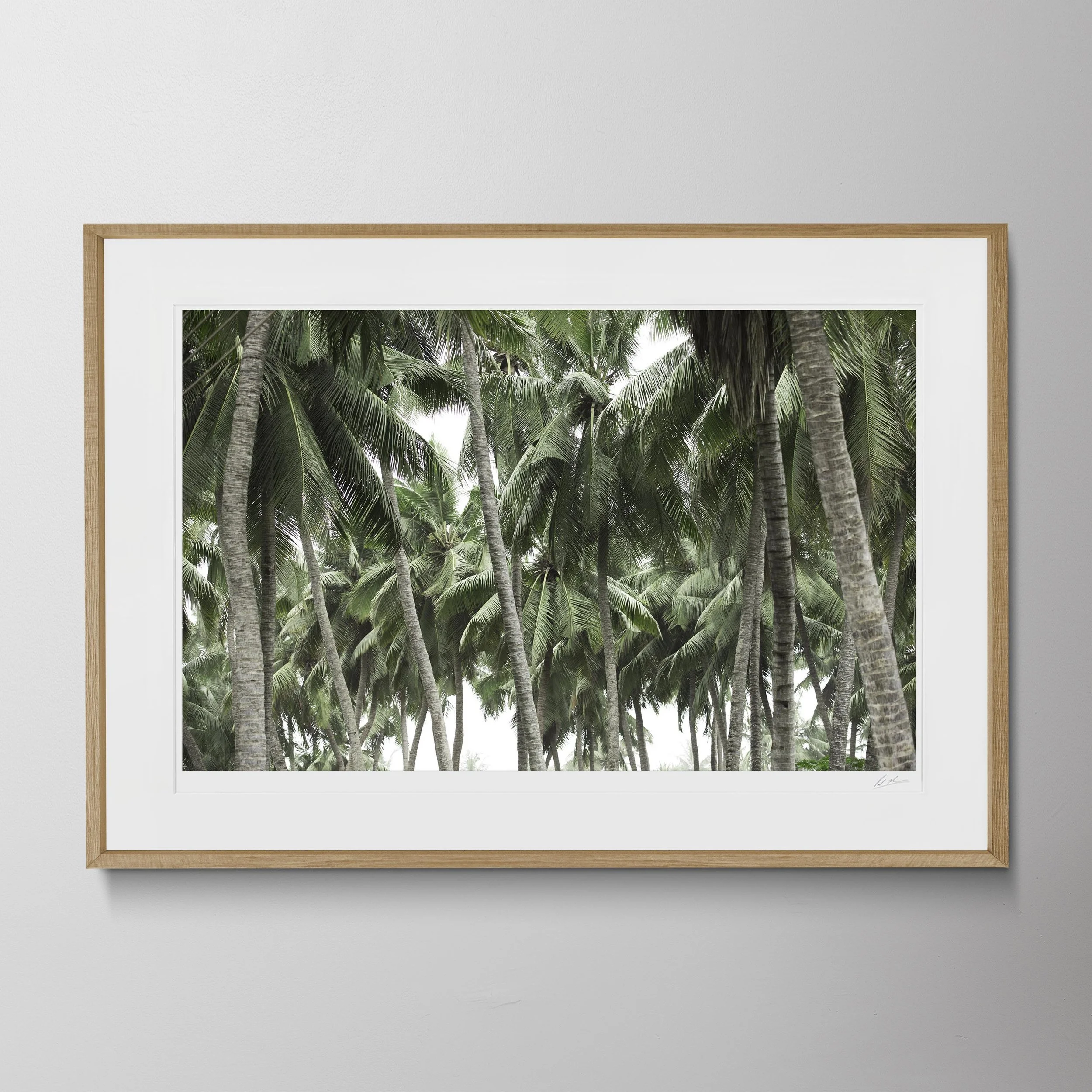 Oak Landscape-Salalah Destination 205.jpg