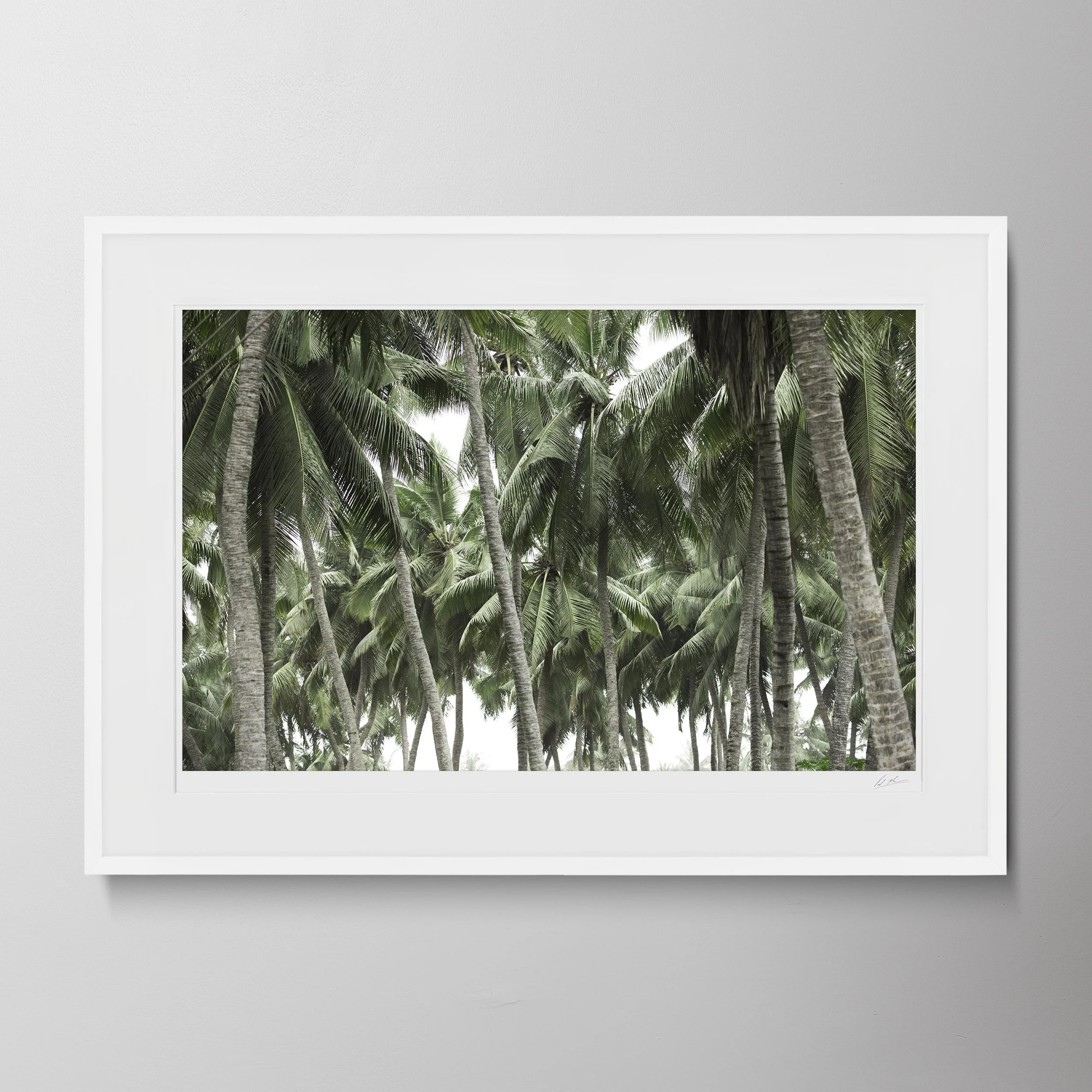 White Landscape-Salalah Destination 205.jpg