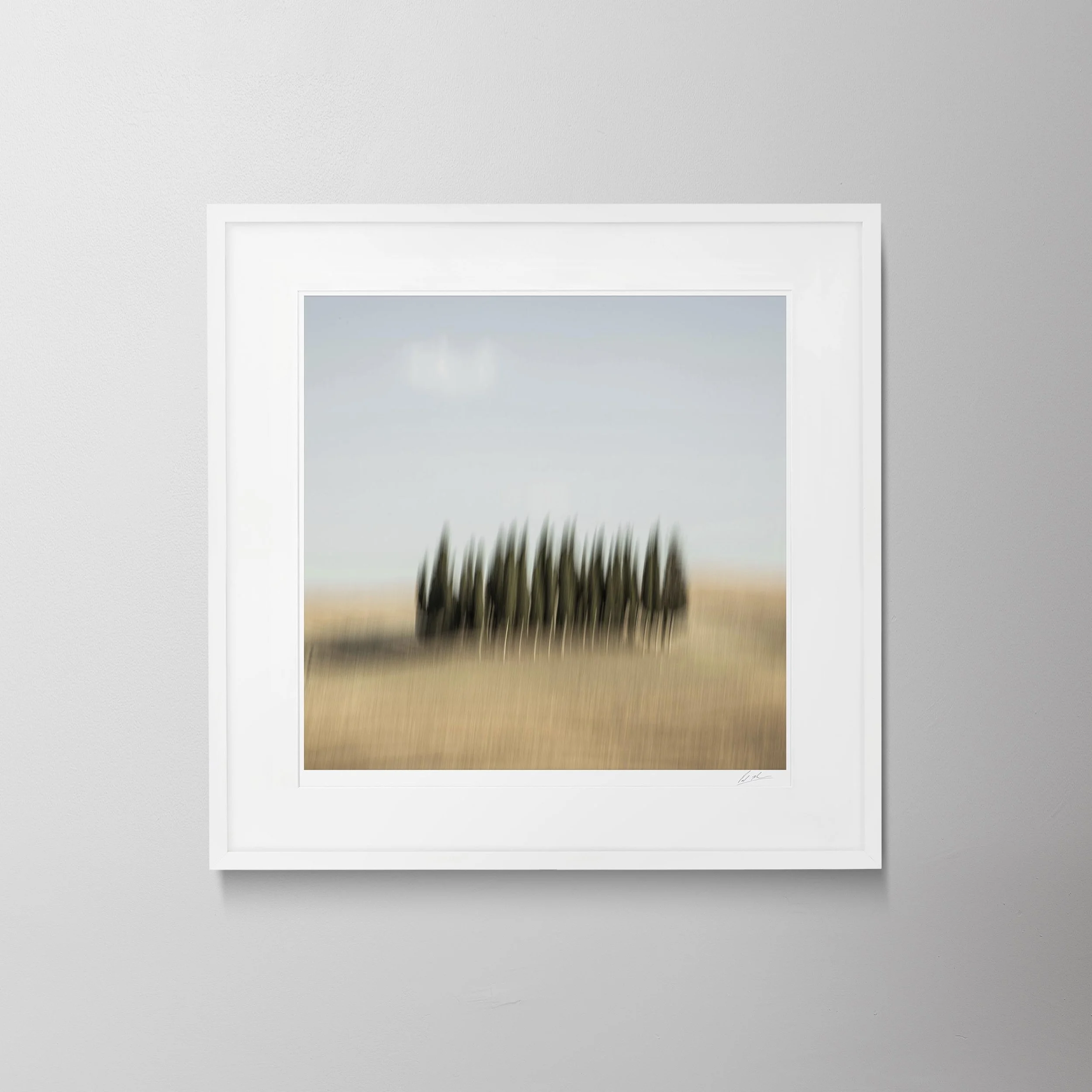 White Square-Tuscany Cedar Trees 0035.jpg
