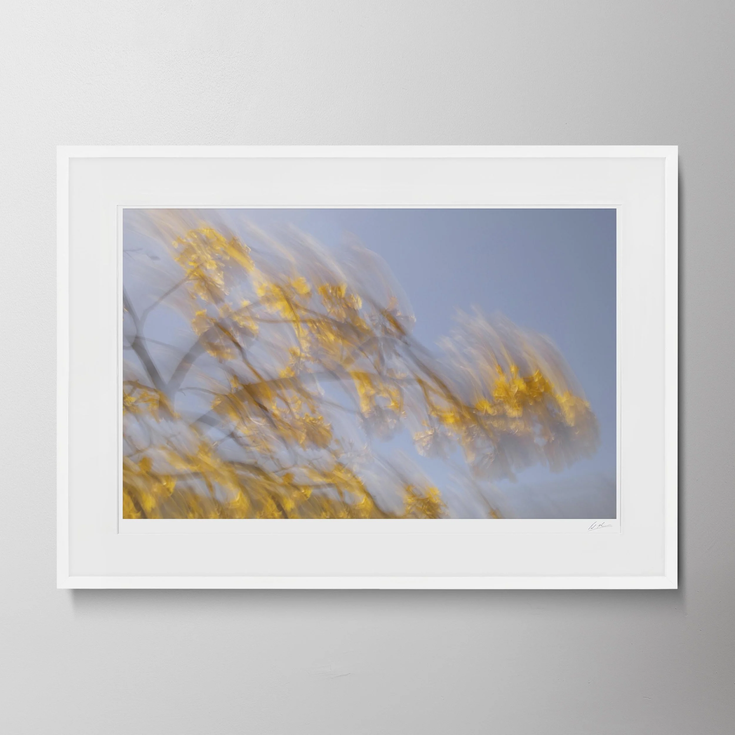 White Landscape-AT2A3457.jpg