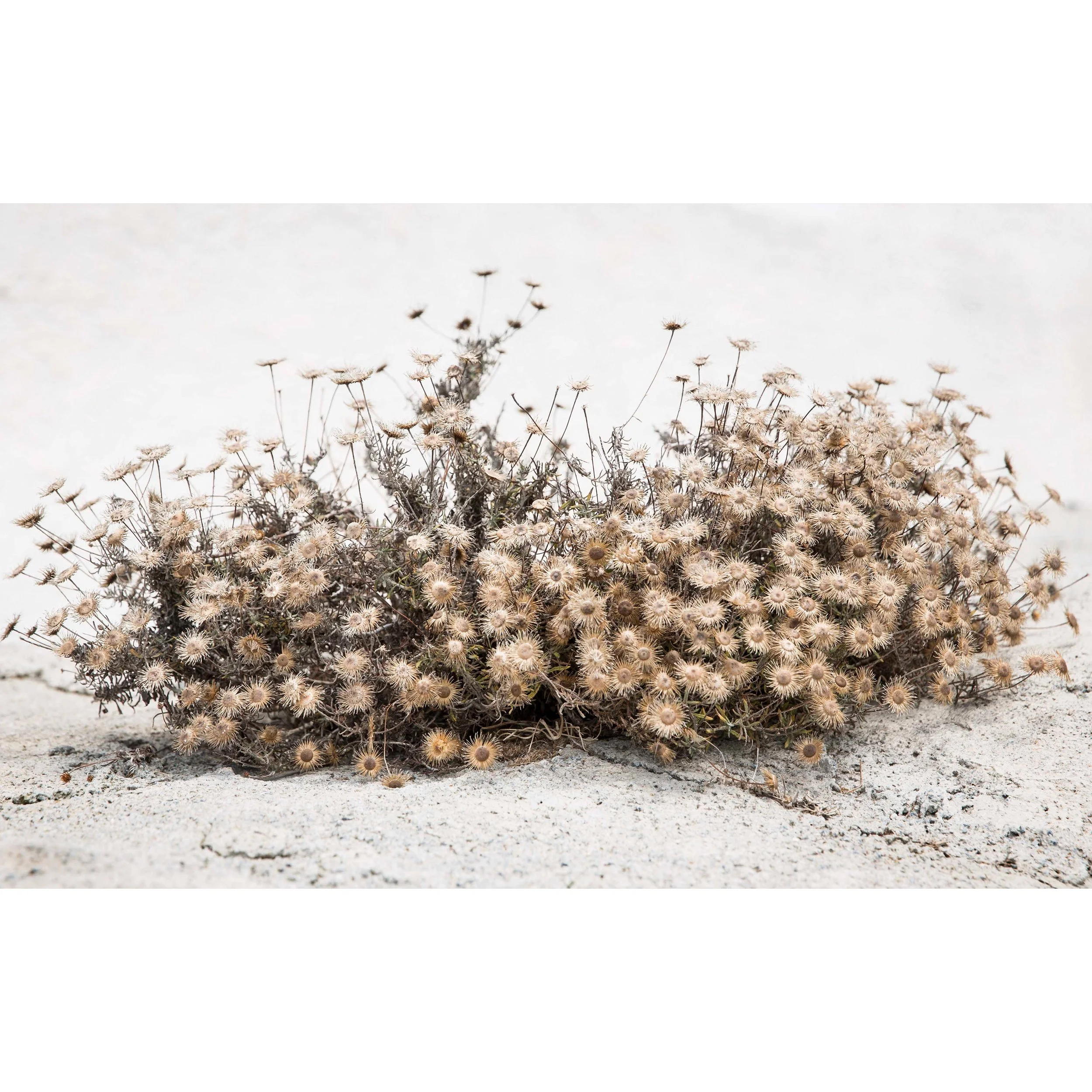 Pyrgos Santorini 007.jpg