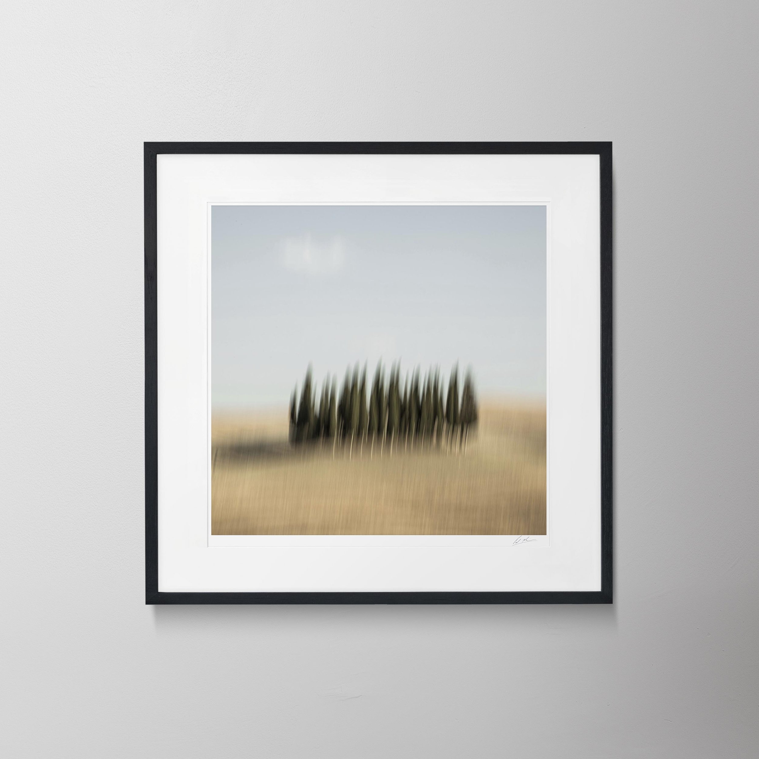 Black Square-Tuscany Cedar Trees 0035.jpg