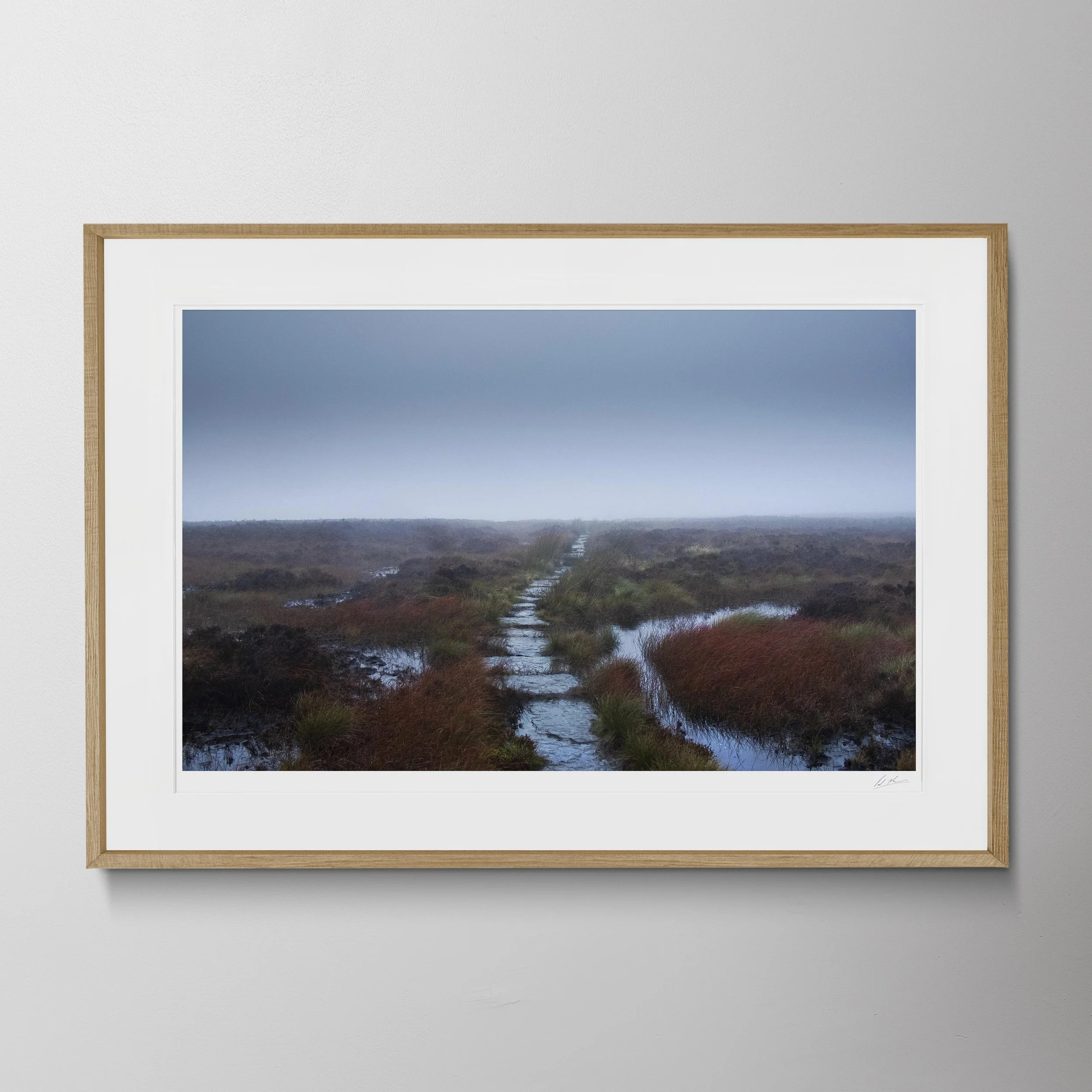 Oak Landscape-Penine Way 9.10 010 2.jpg