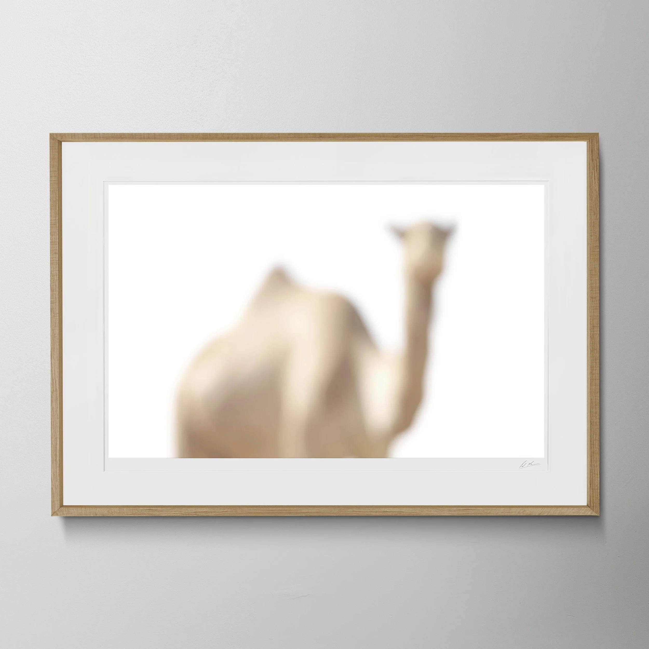Oak Landscape-Camel Counting 8 0179.jpg
