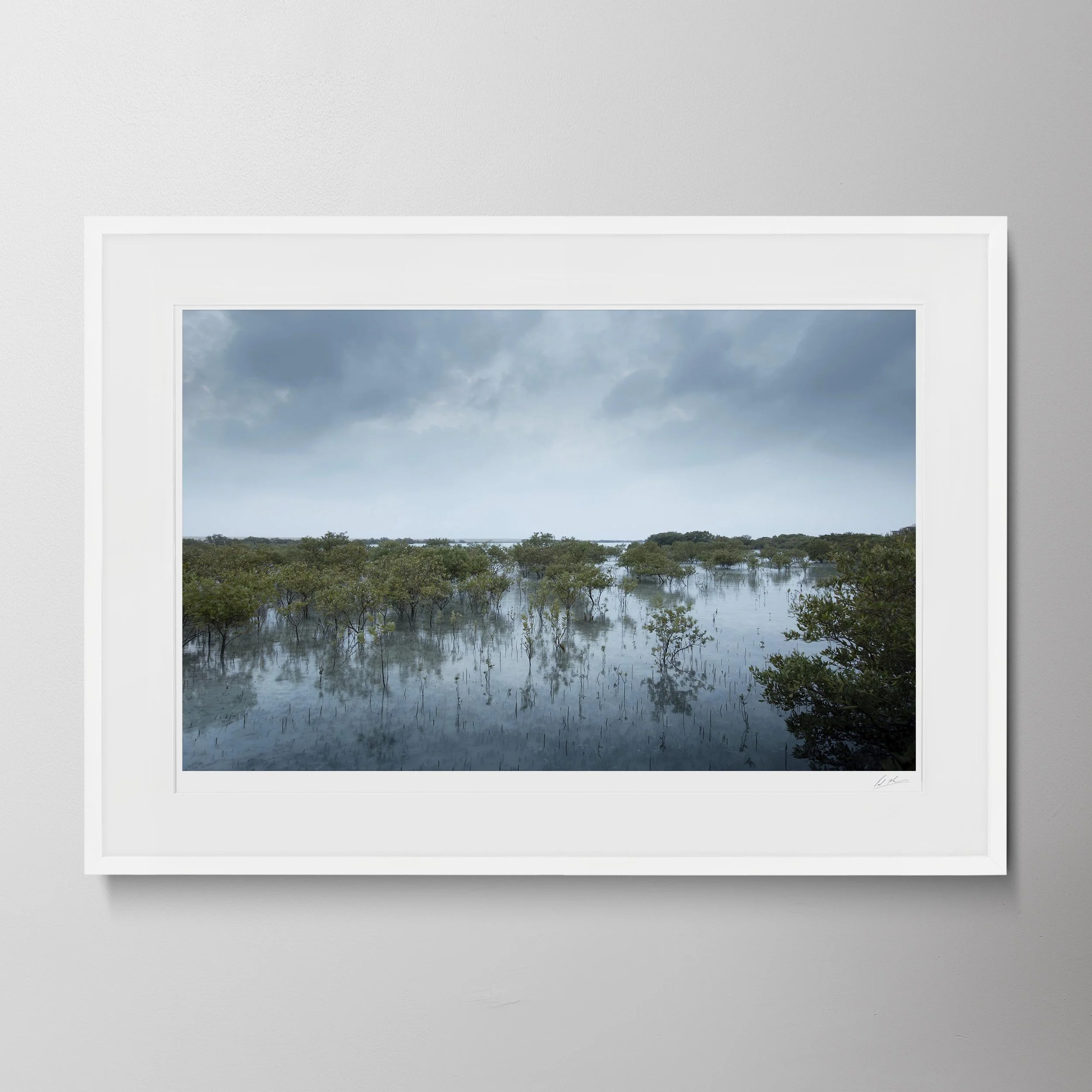 White Landscape-Al Yamm Mangroves 02.jpg