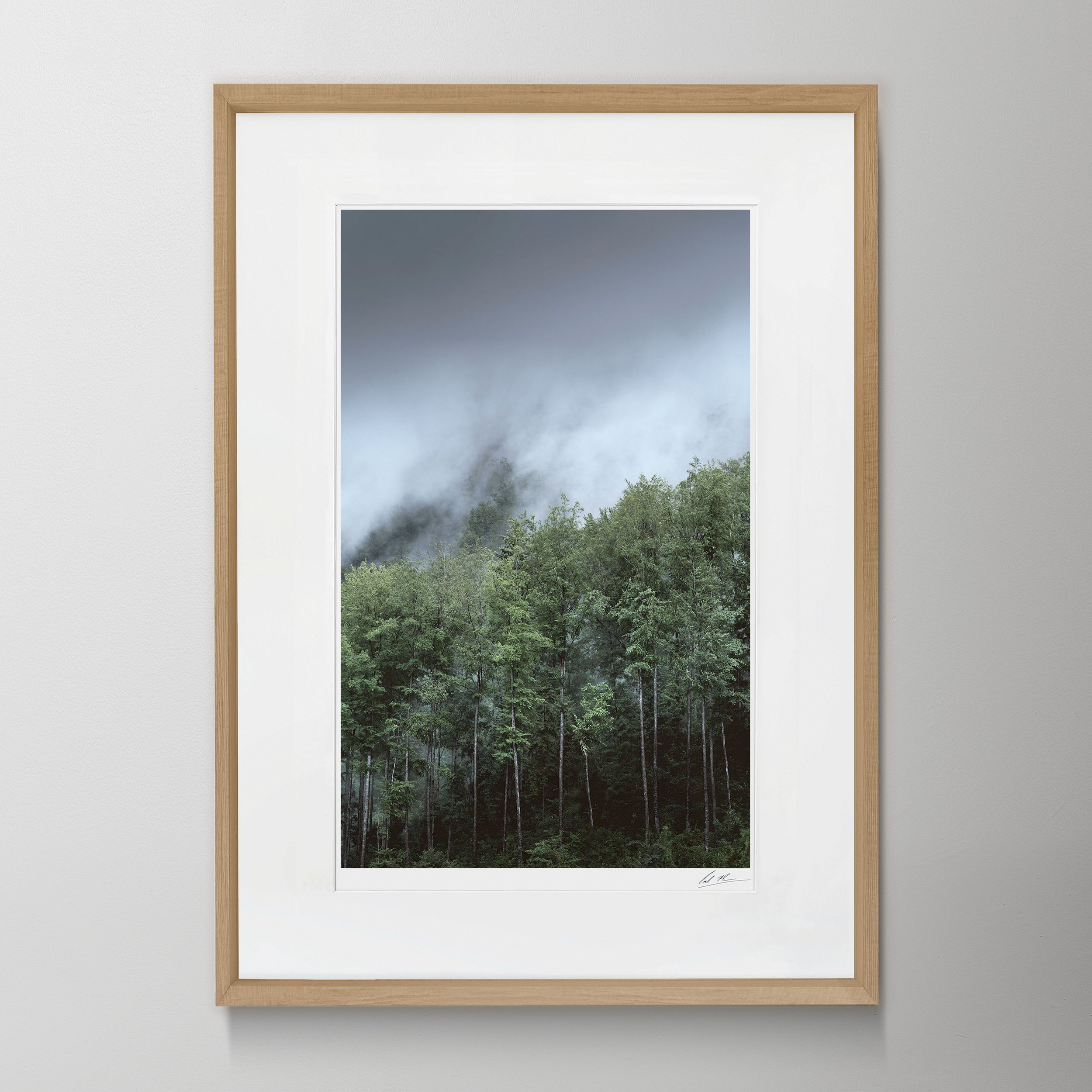 Oak Portrait Giswil, Switzerland_0009.jpg