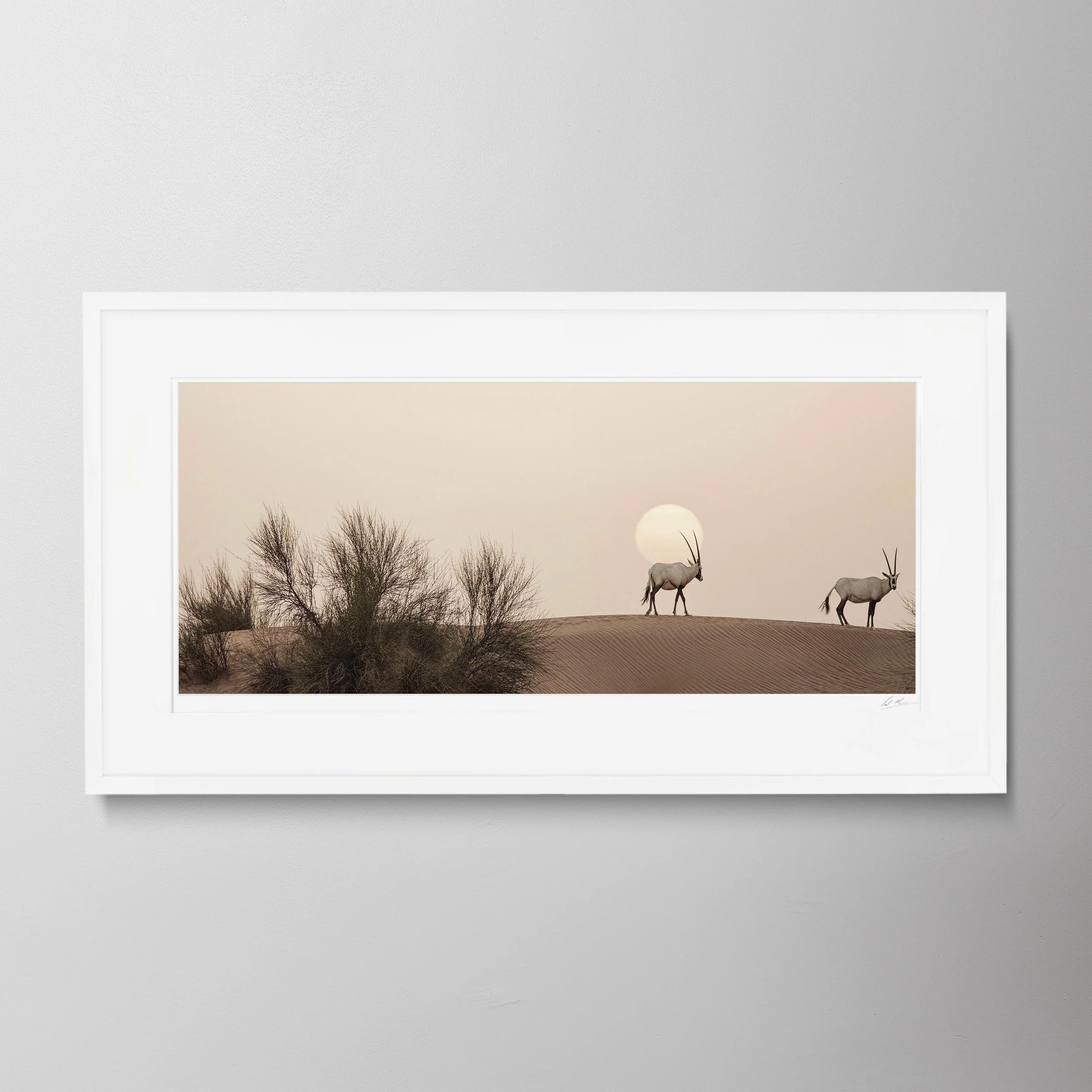 White Panorama-Oryx 0035.jpg