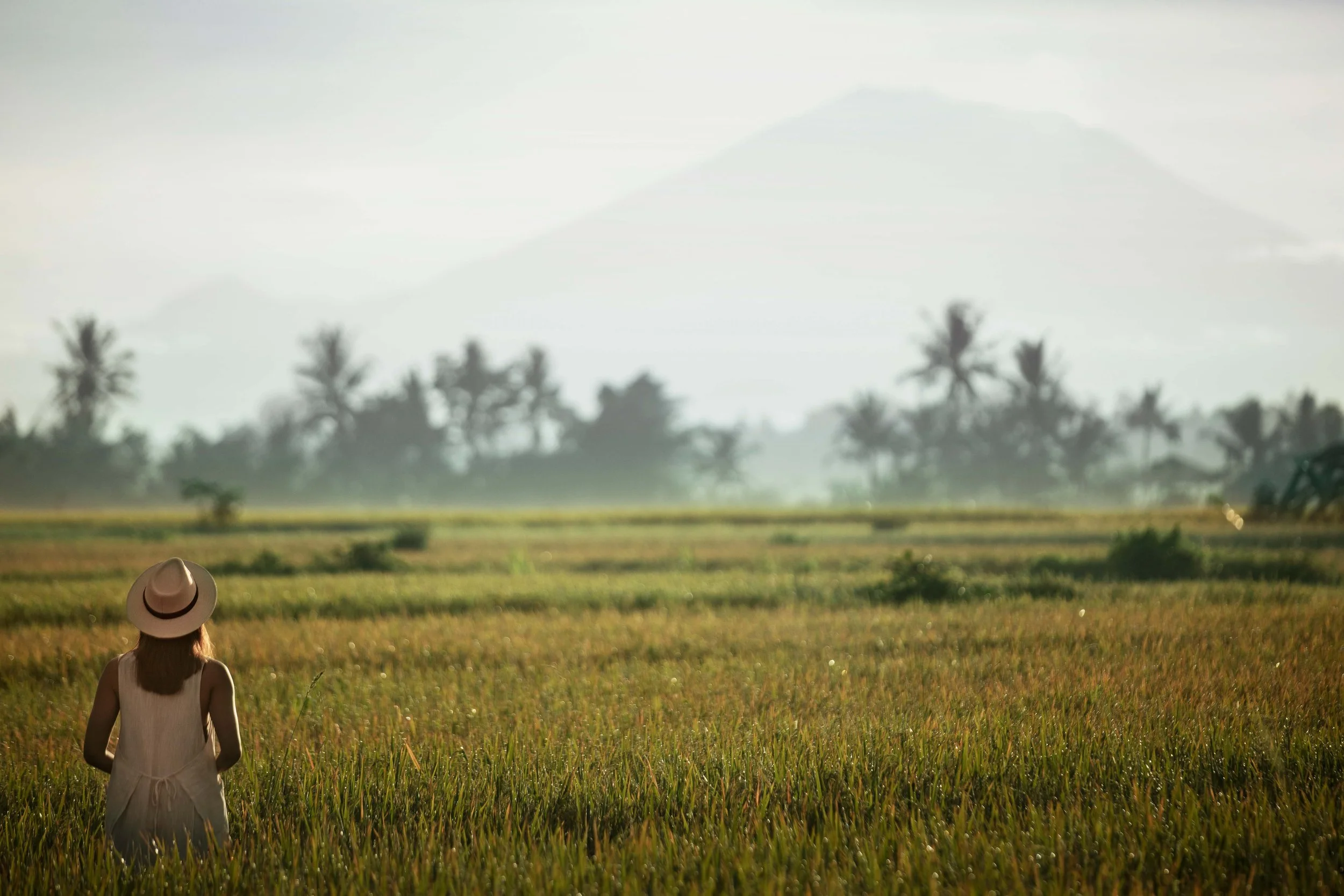 042 HIB Bali Rice Fields Lifestyle (Advina) 05 v1 copy.jpg
