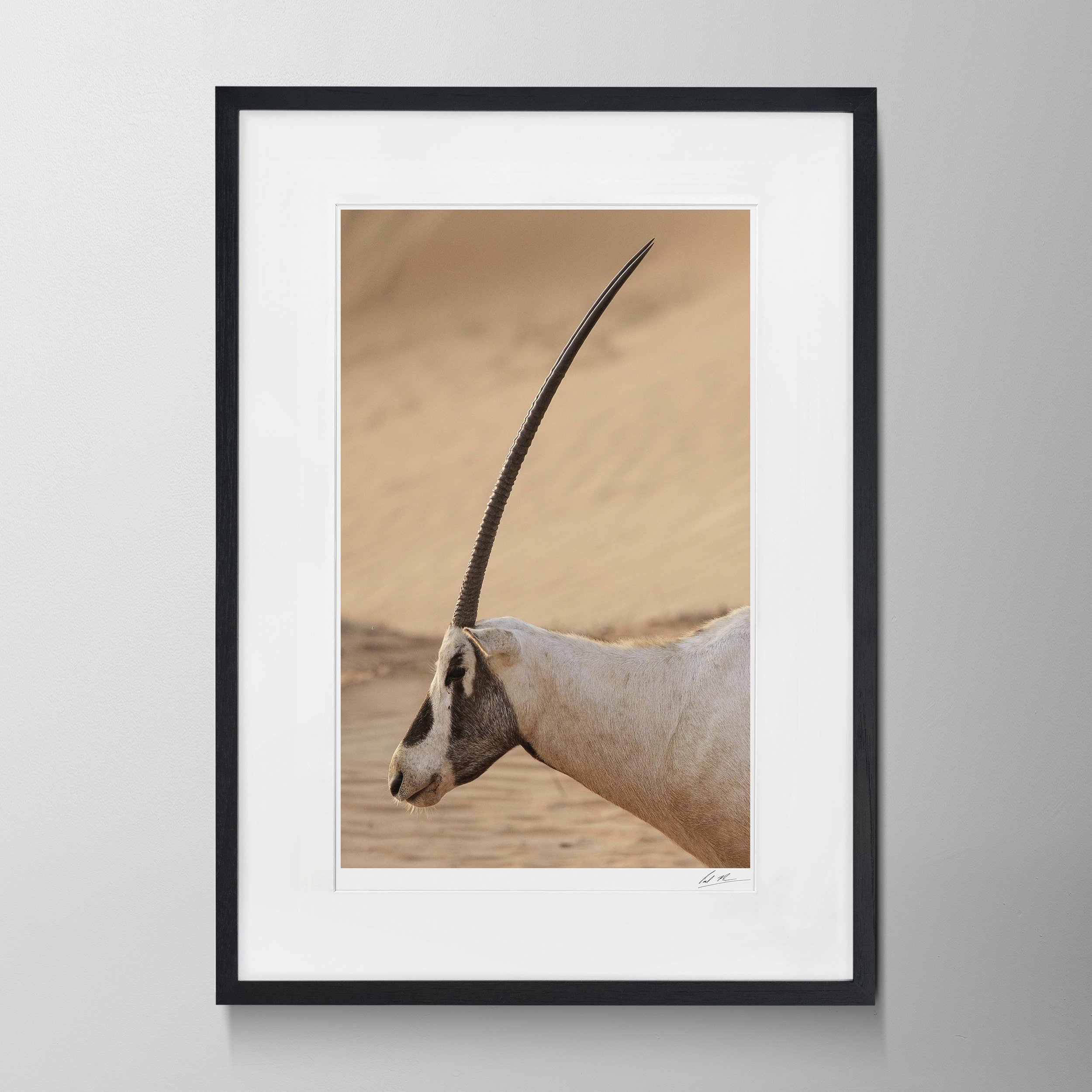 Black Portrait-Oryx 0007.jpg
