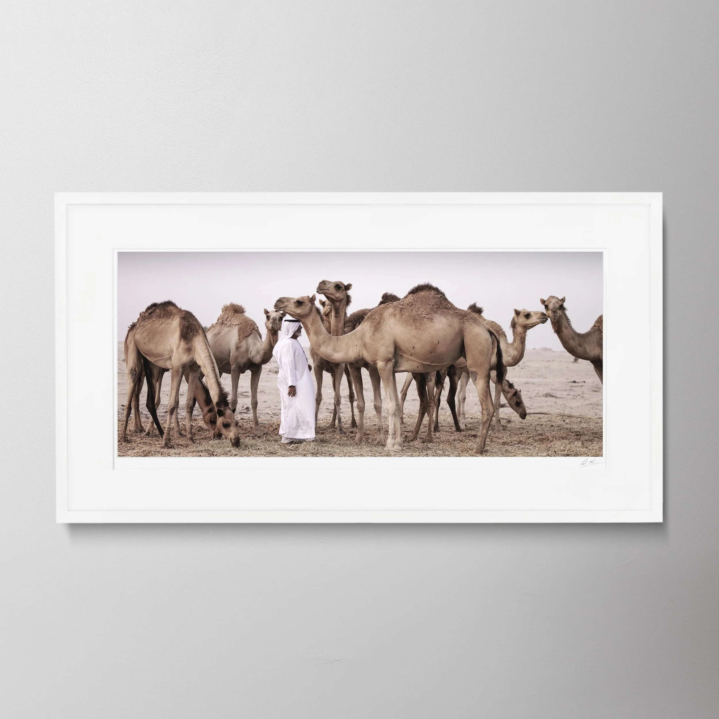 White Panorama - Obaid & Camels 0025.jpg