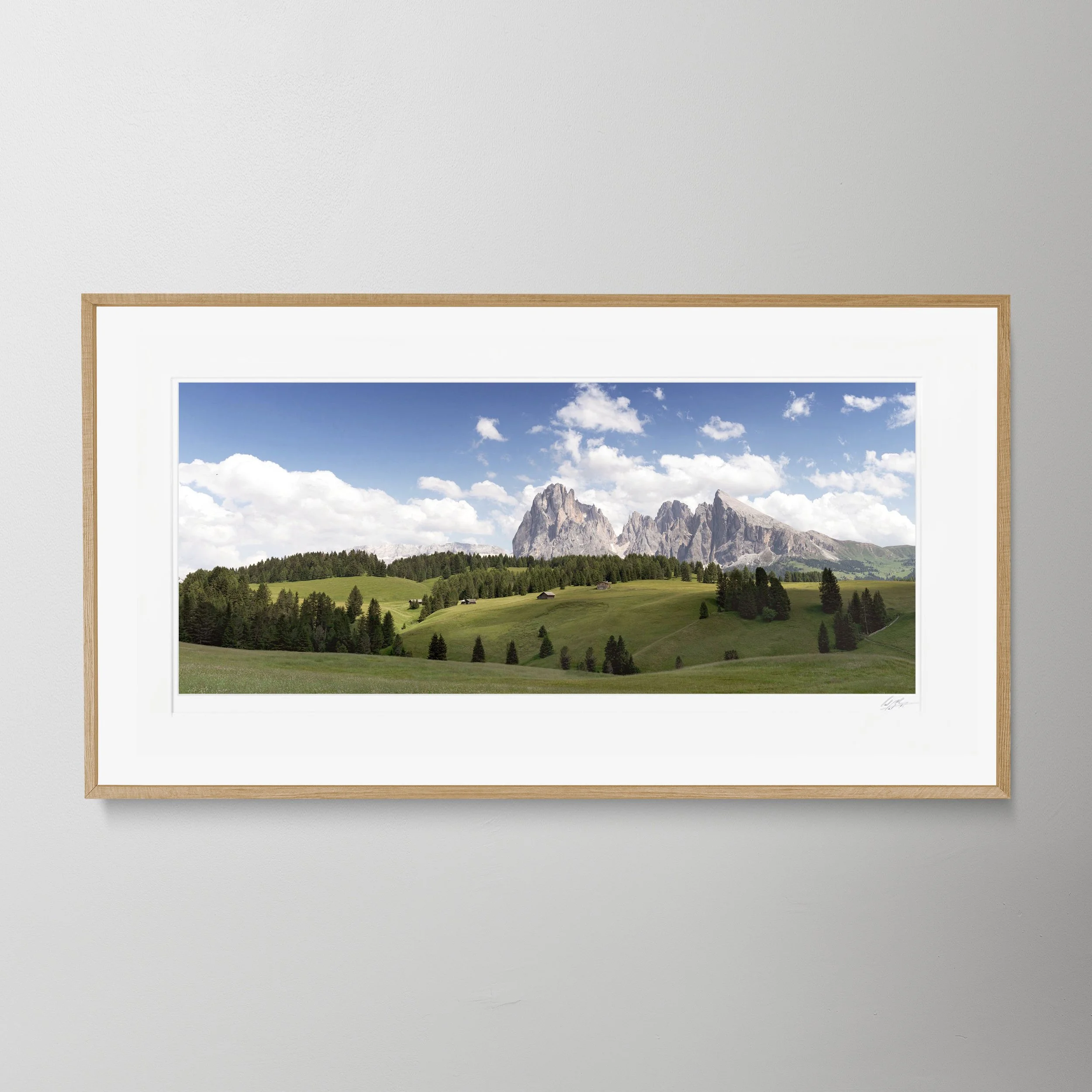 Oak Panorama Dolomites Italy_0005 copy.jpg