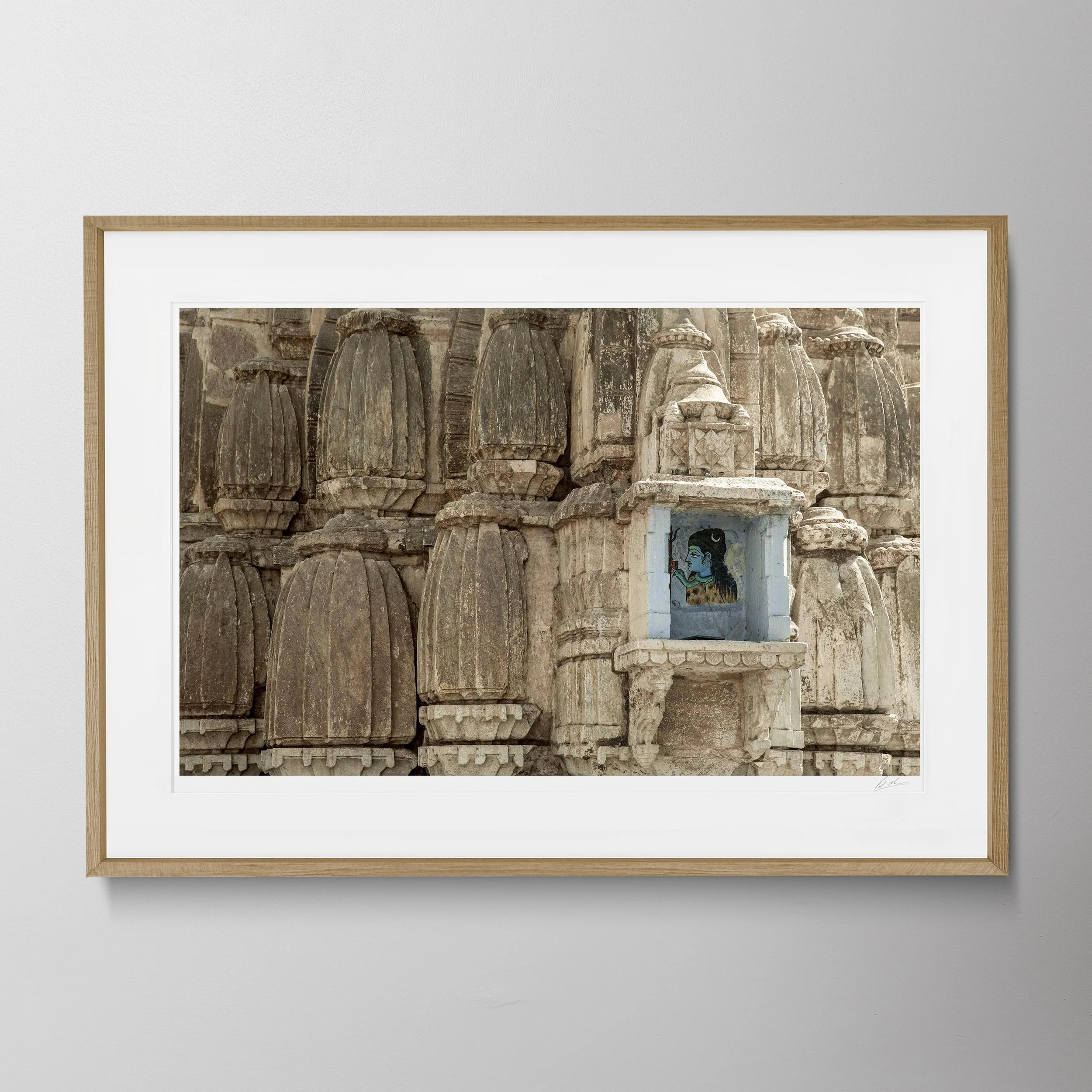 Oak Landscape - Udaipur 056 des copy.jpg