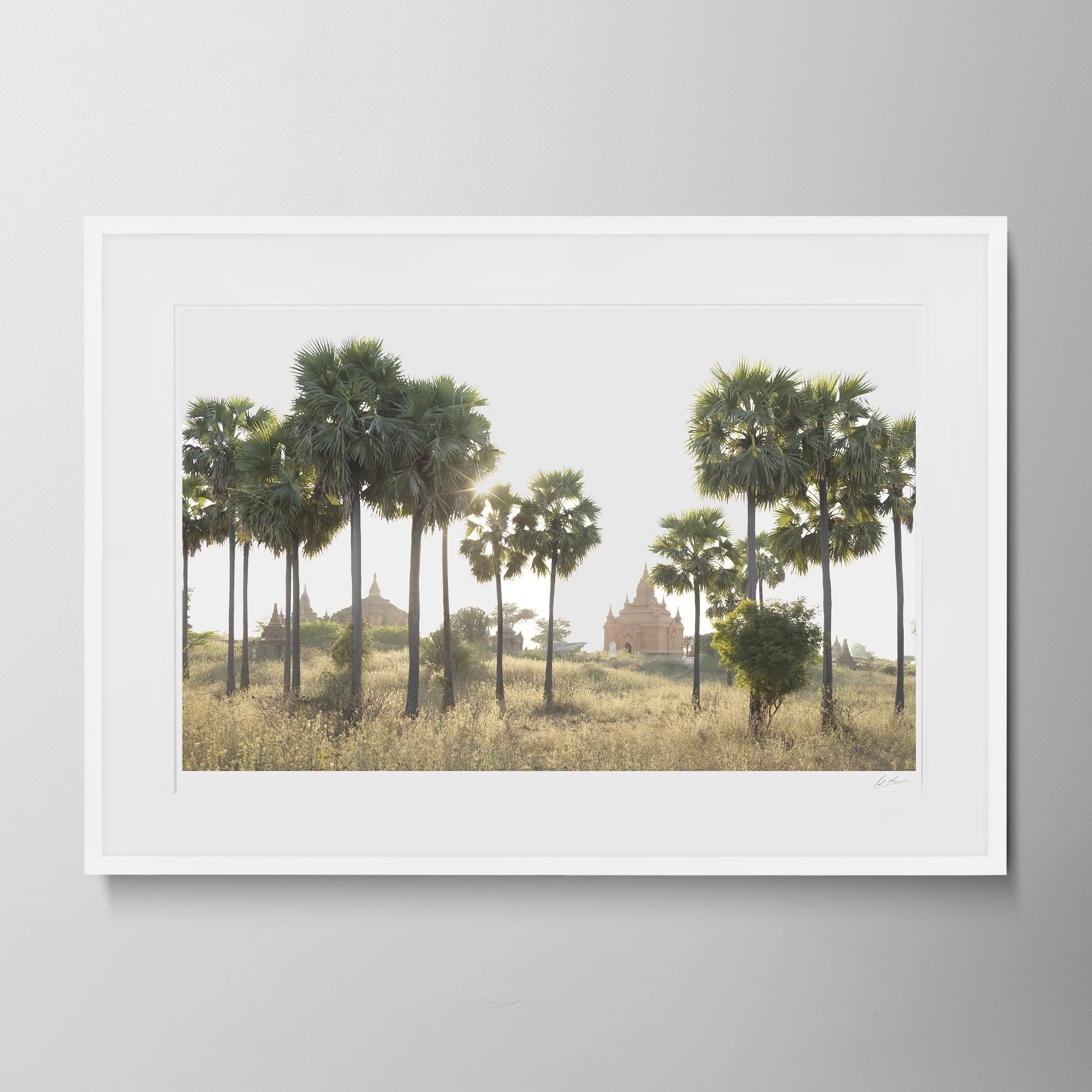 White Landscape - Bagan_0310 copy.jpg