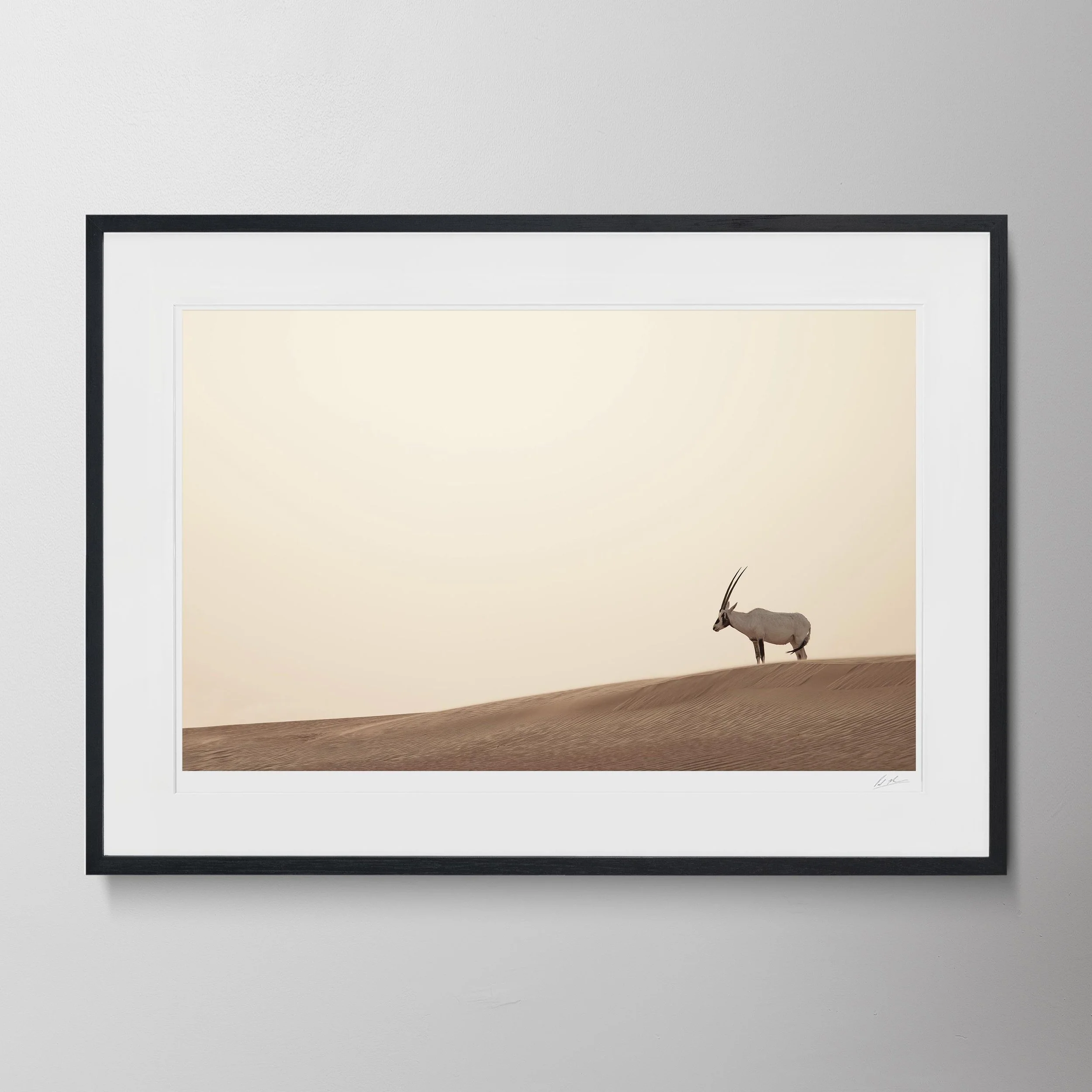 Black Landscape-Oryx 0020.jpg