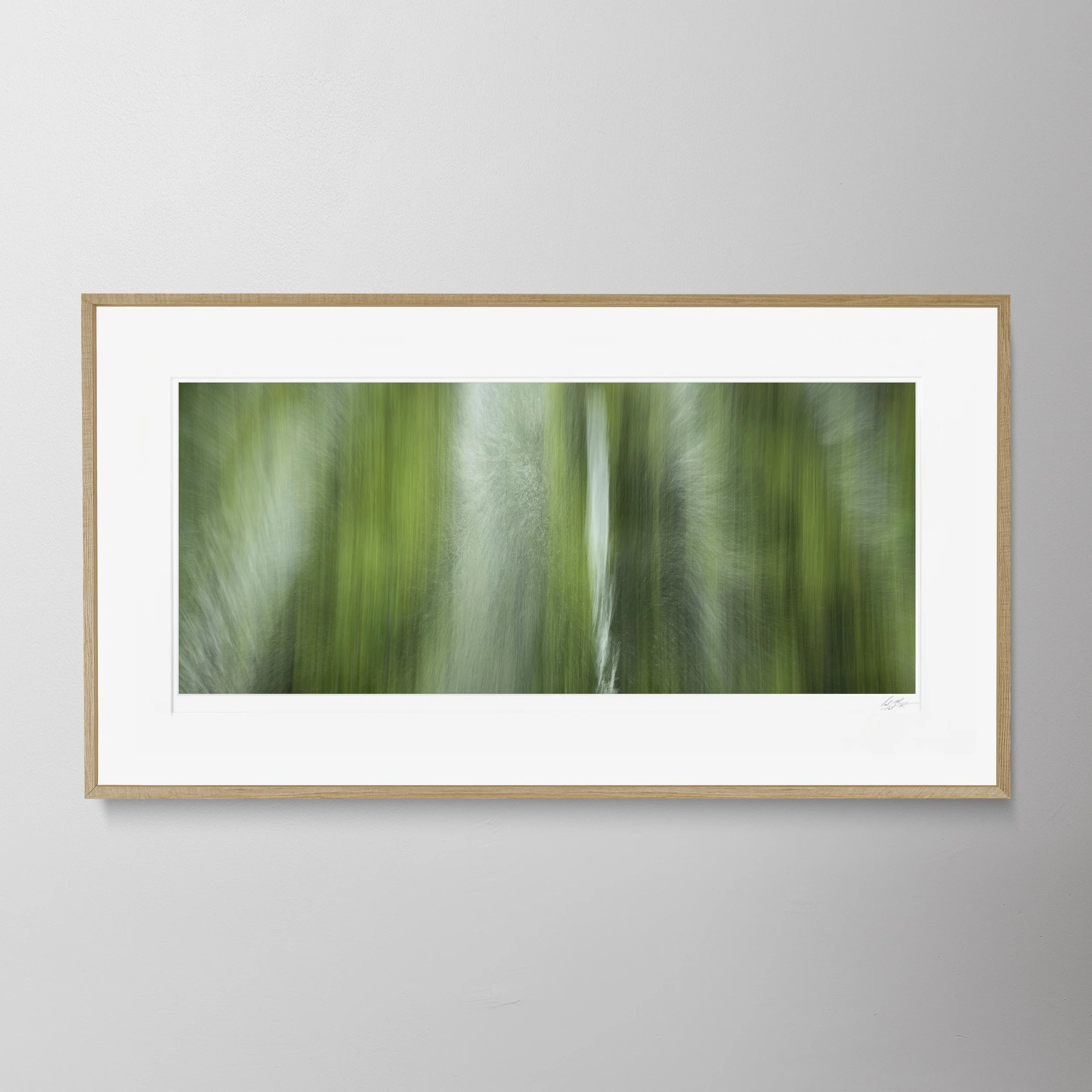 Oak Panorama-Singapore Botanical Gardens Kinesis  06.jpg