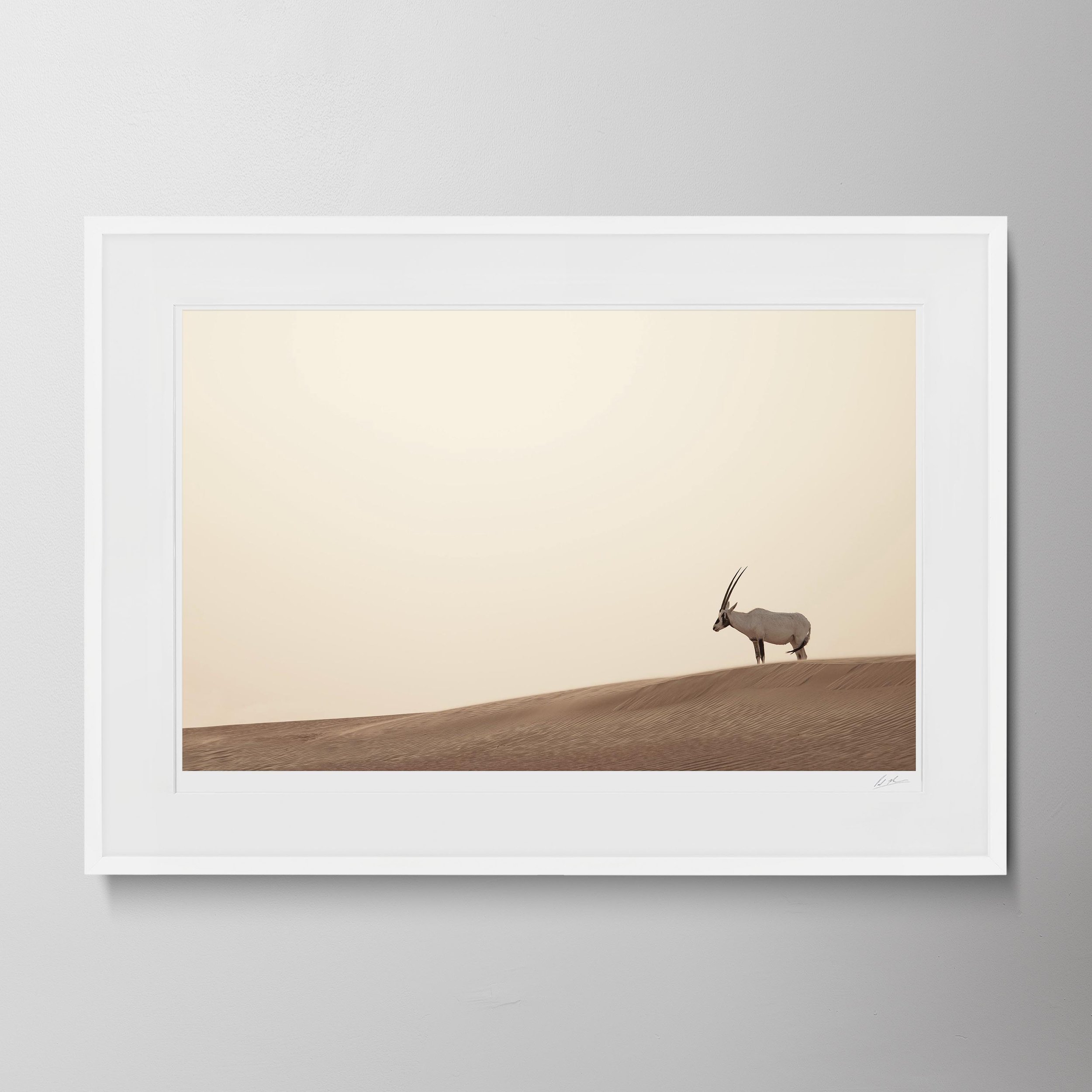 White Landscape-Oryx 0020.jpg
