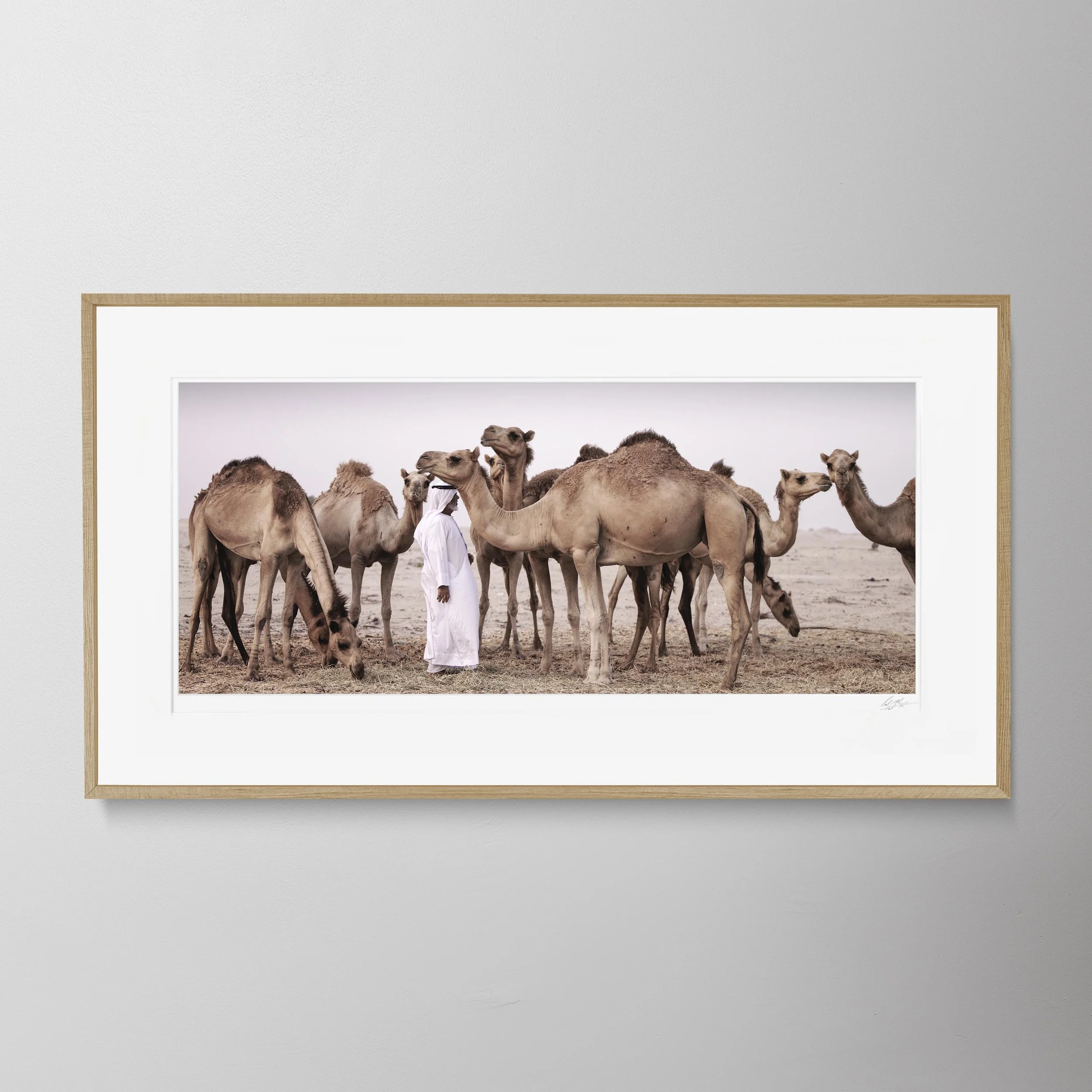 Oak Panorama - Obaid & Camels 0025.jpg